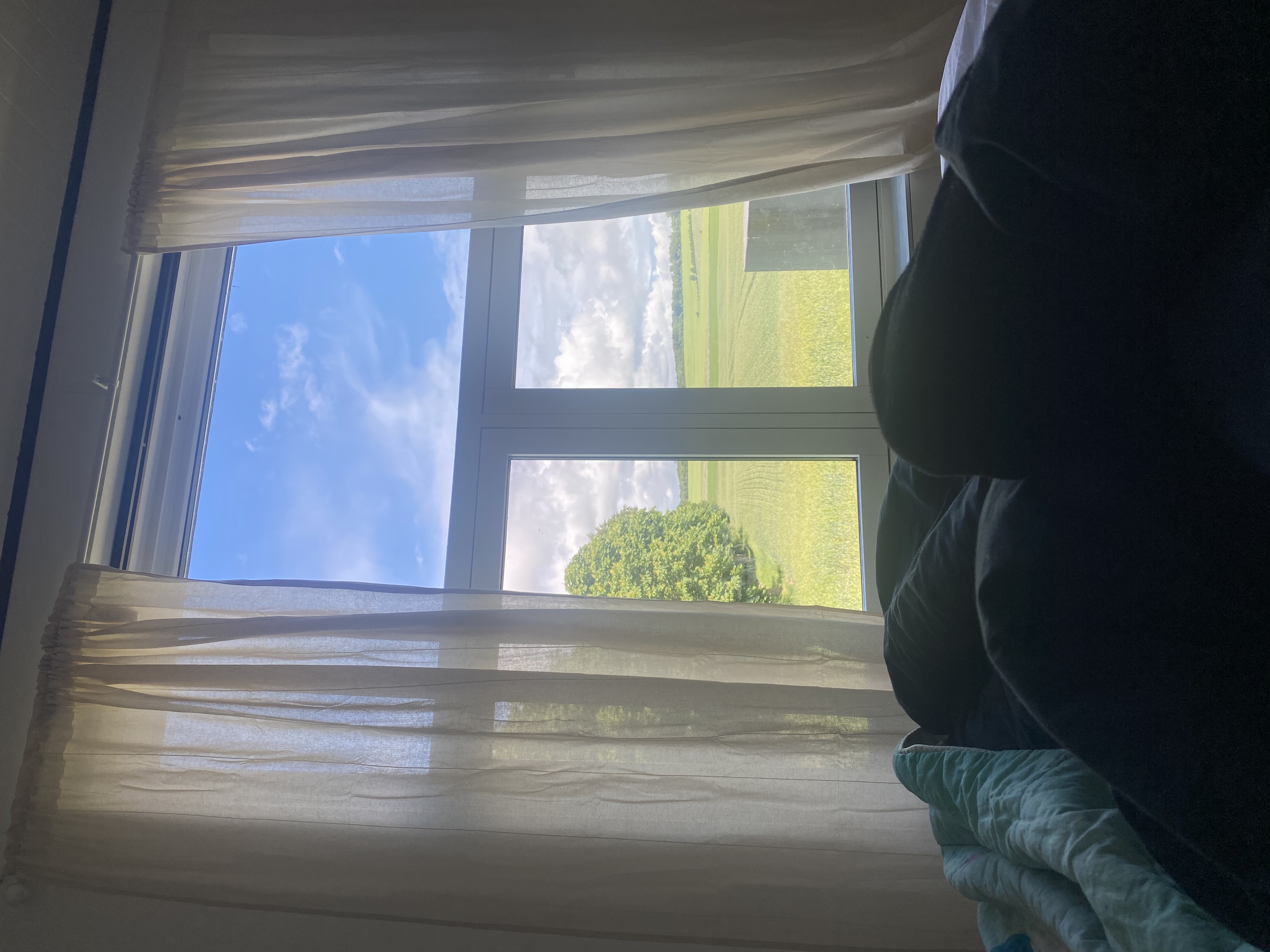 image-15