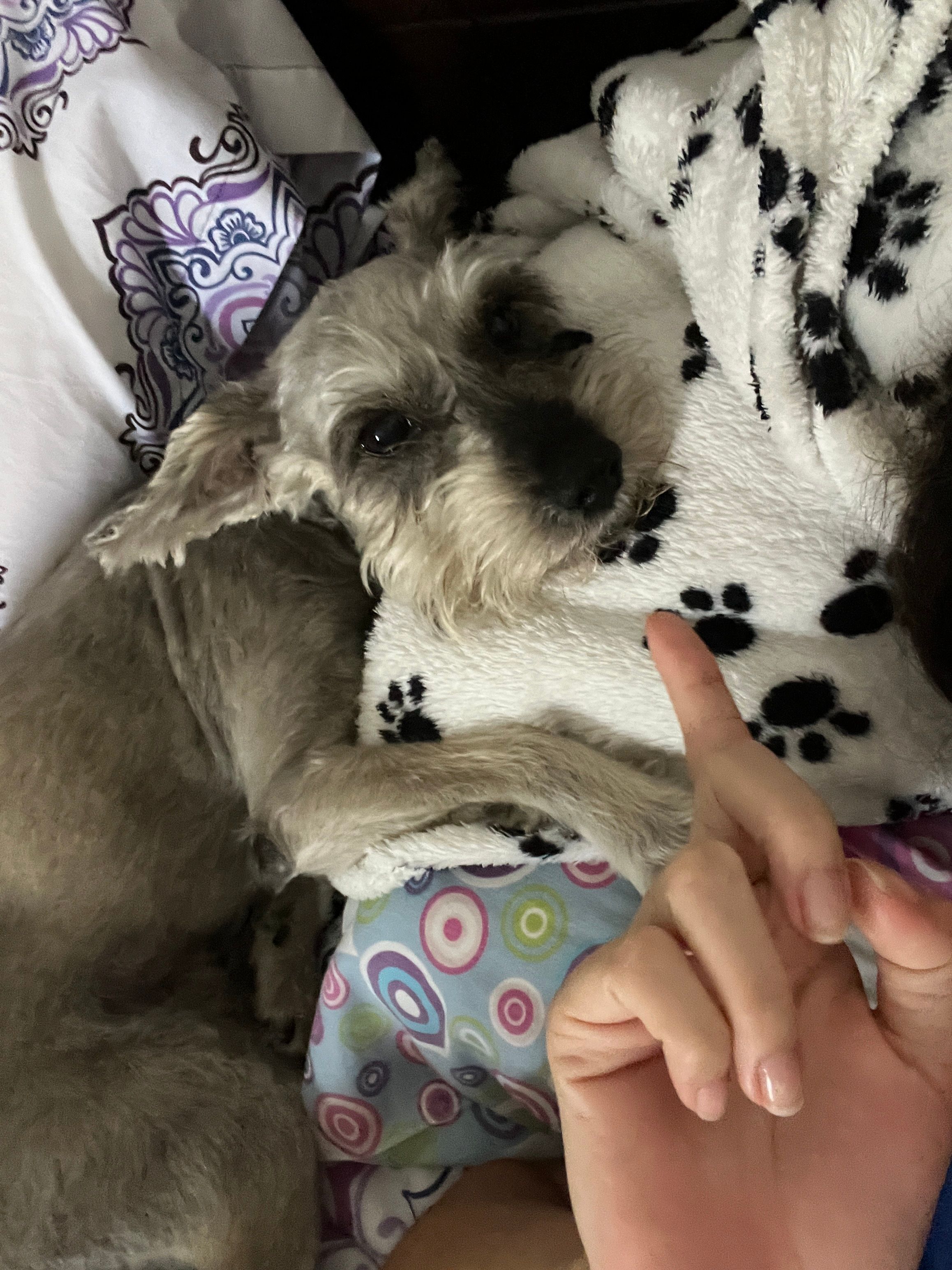 image-7