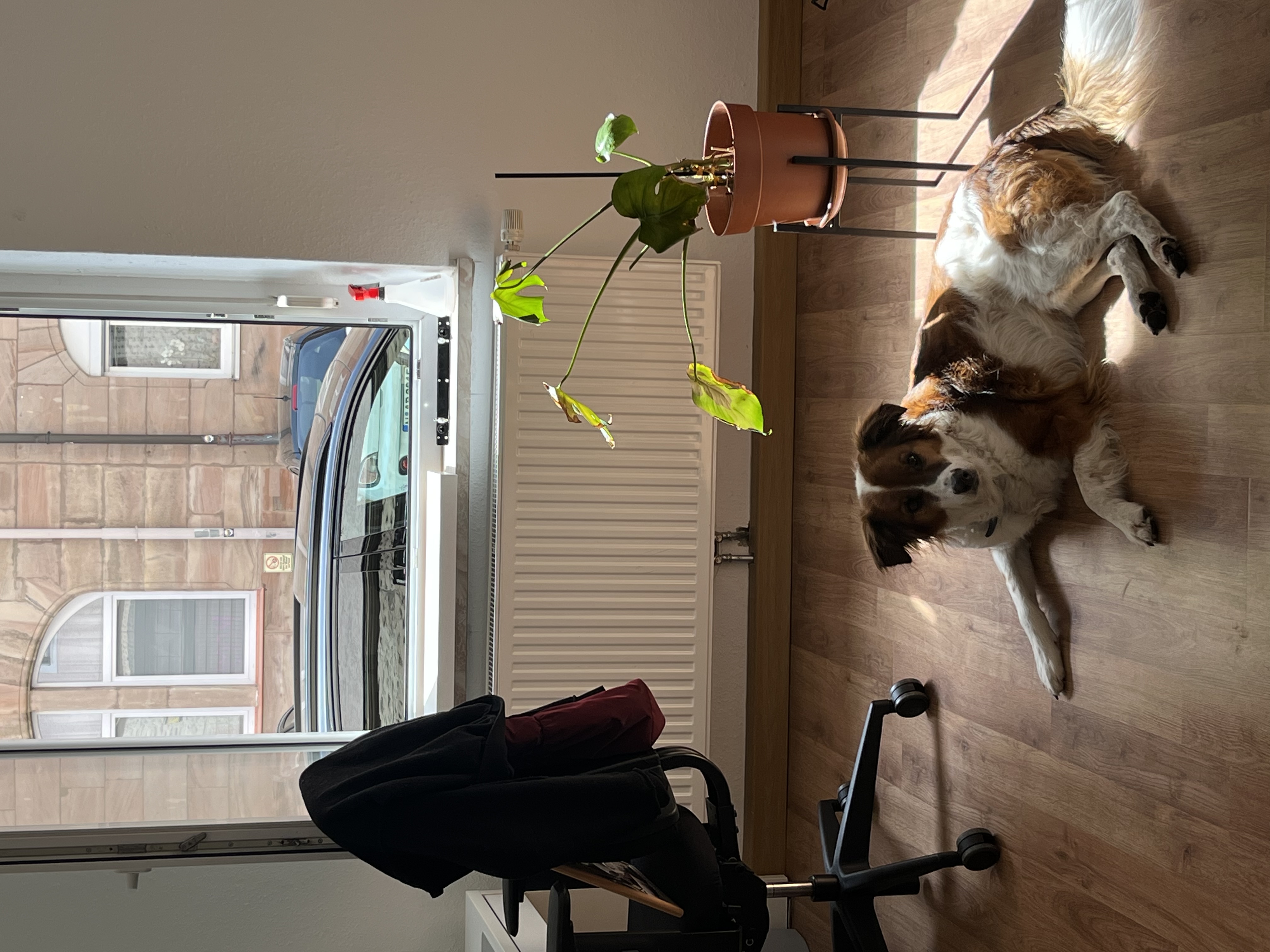 image-13