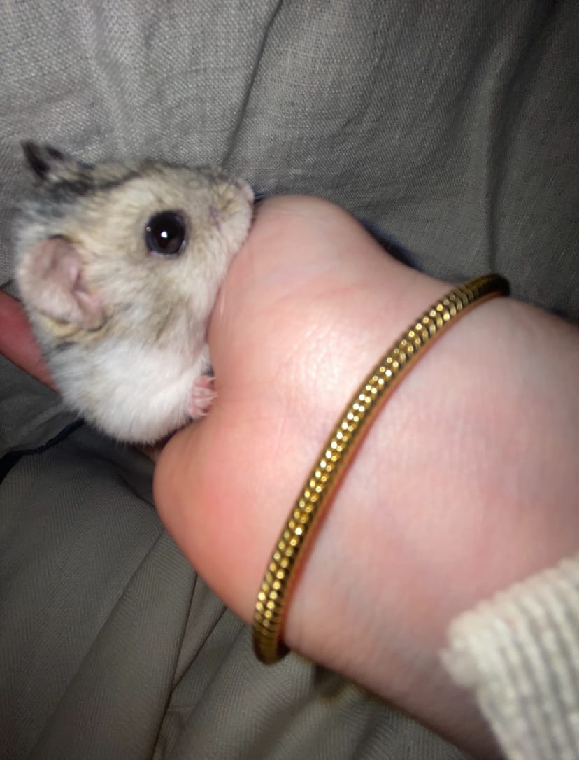image-6