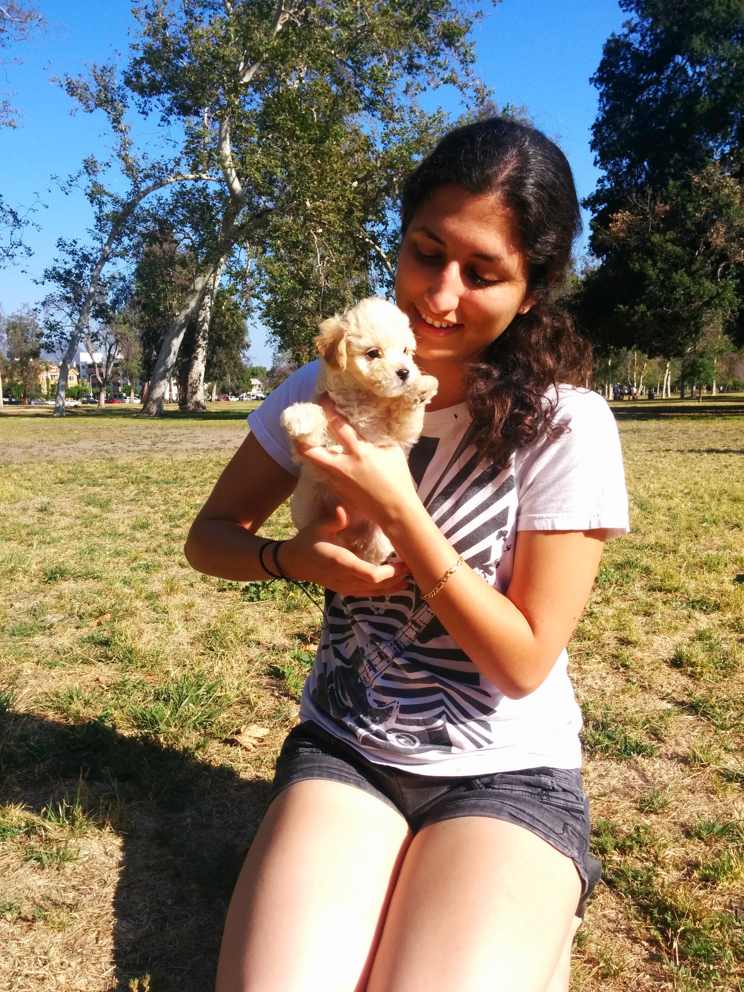 image-7