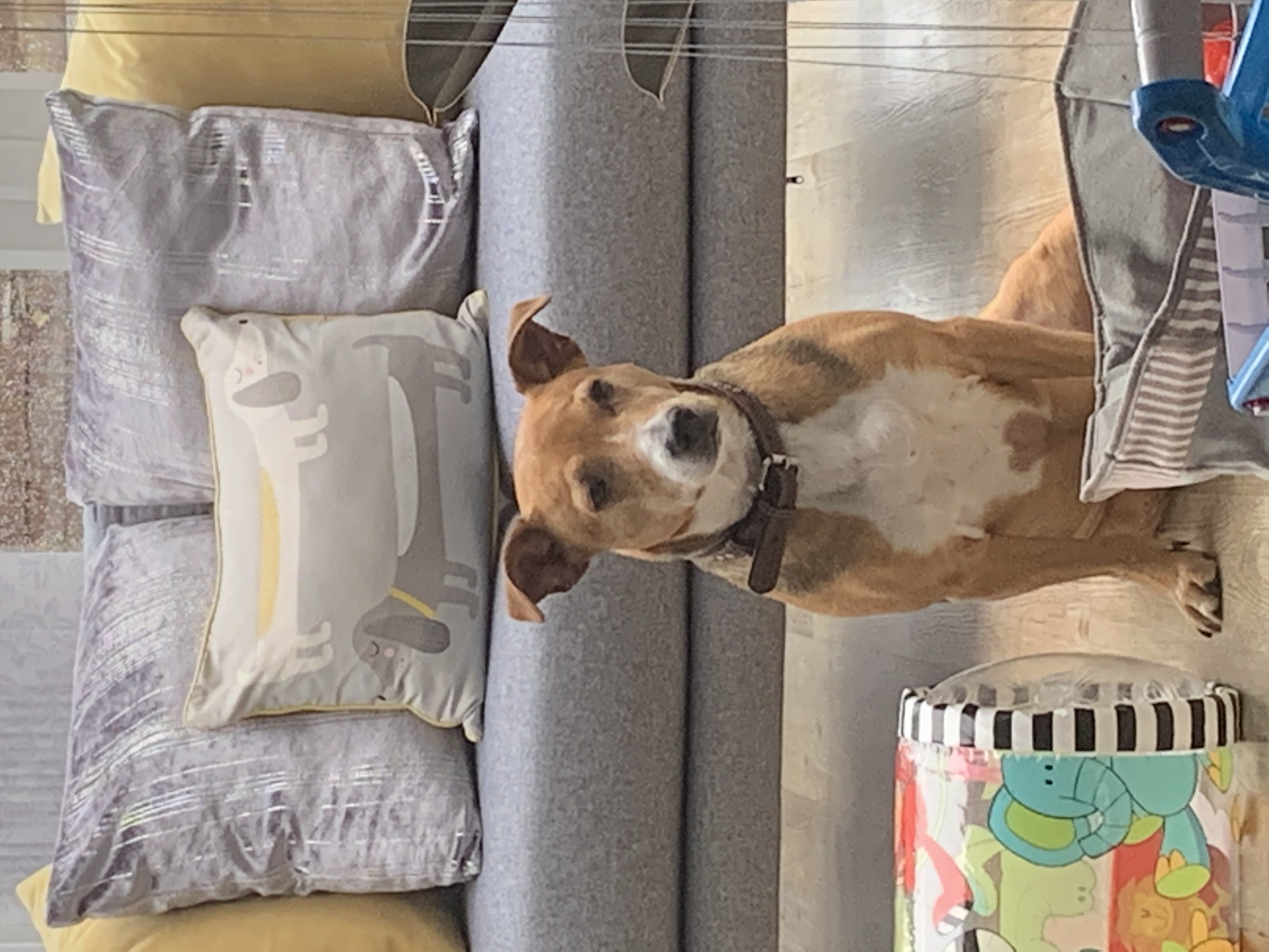 image-6