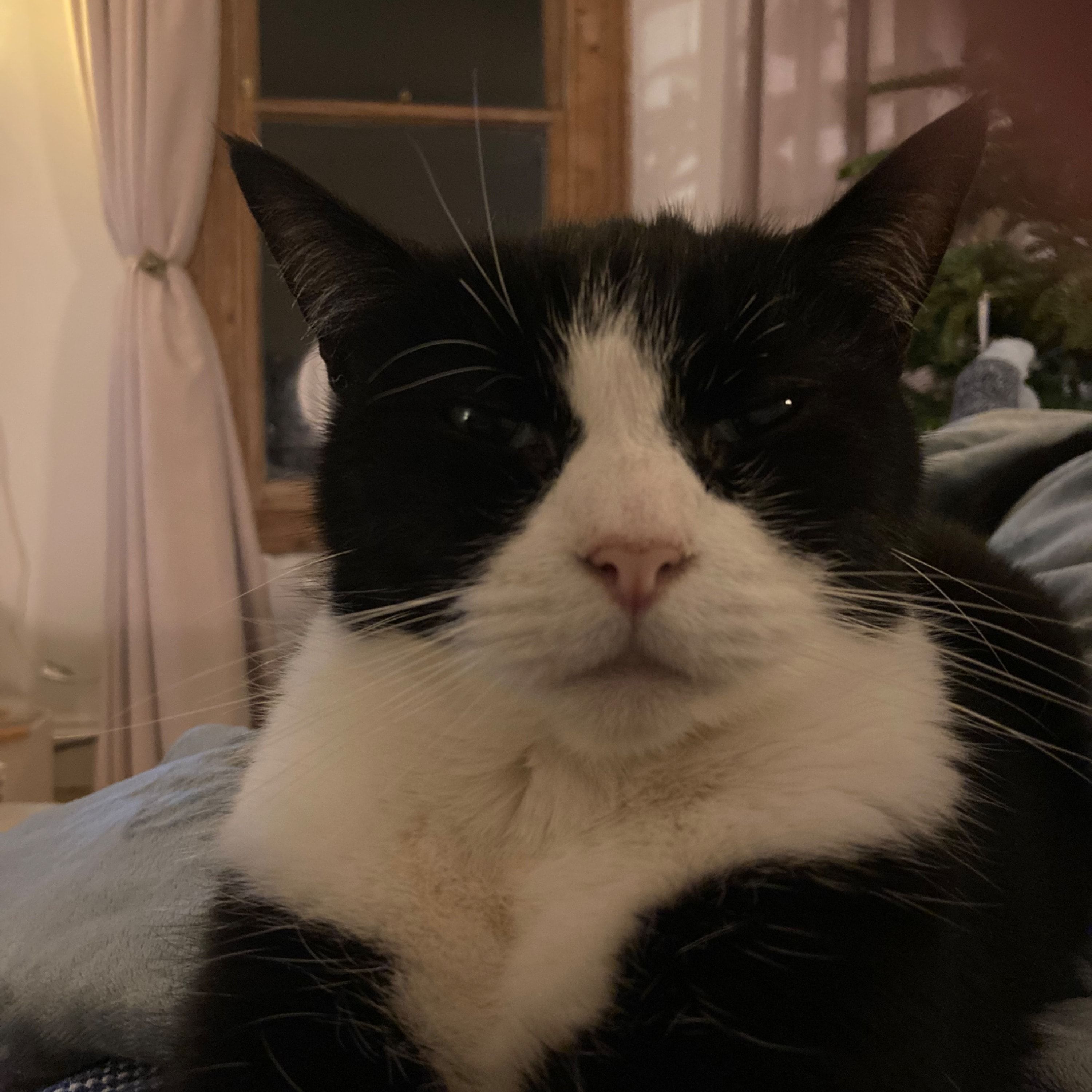 Charlie