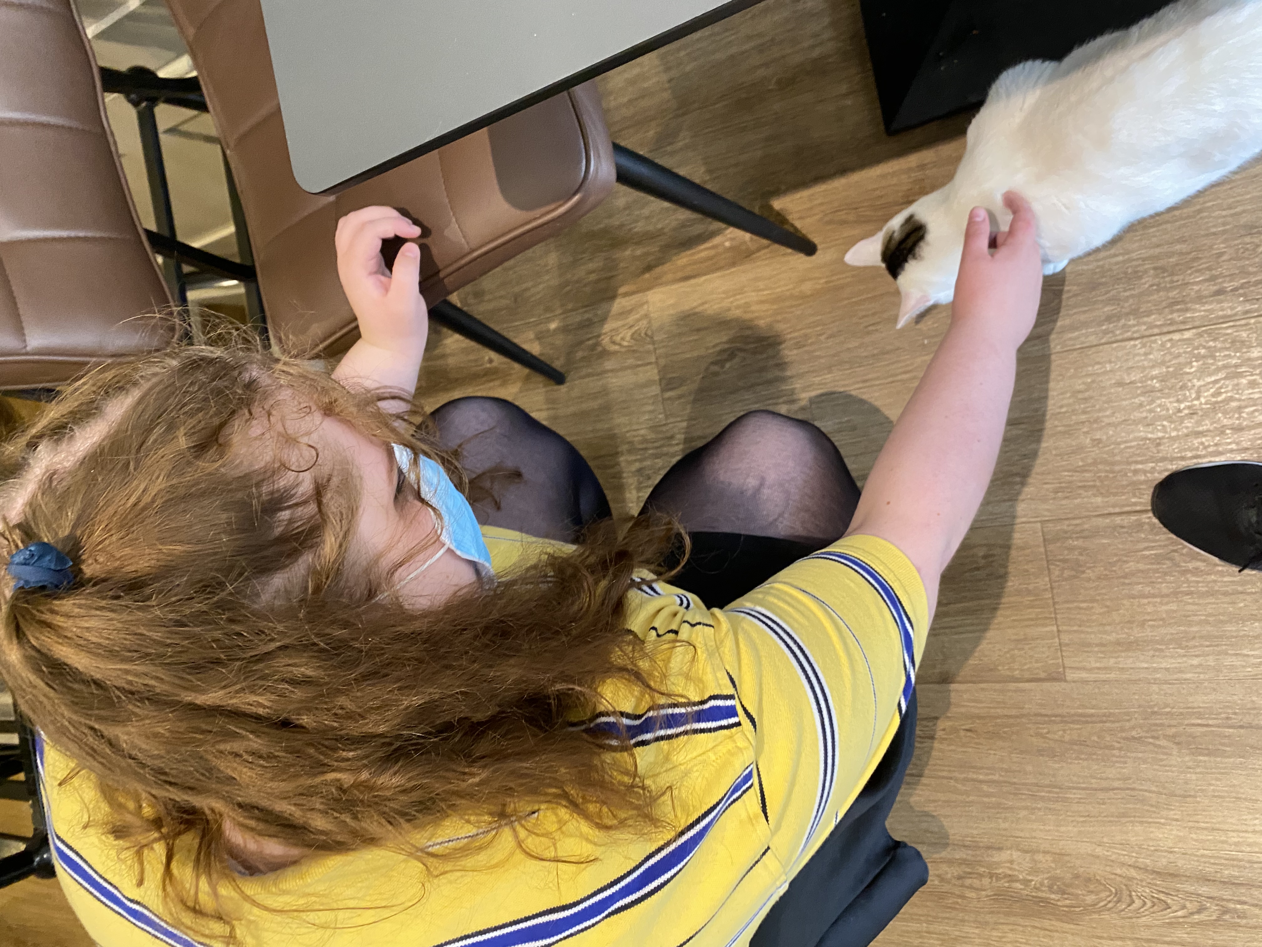 image-10