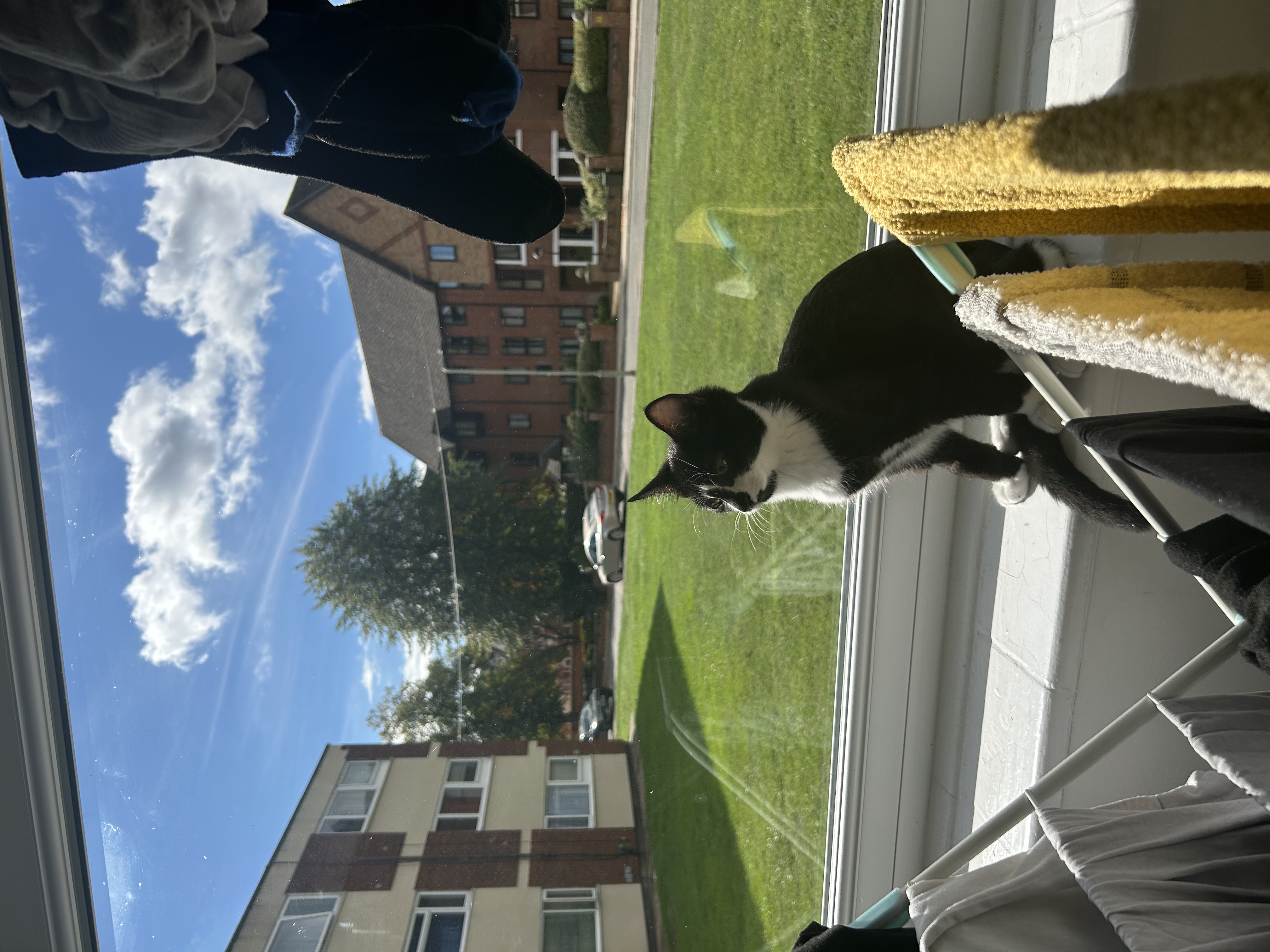 image-16