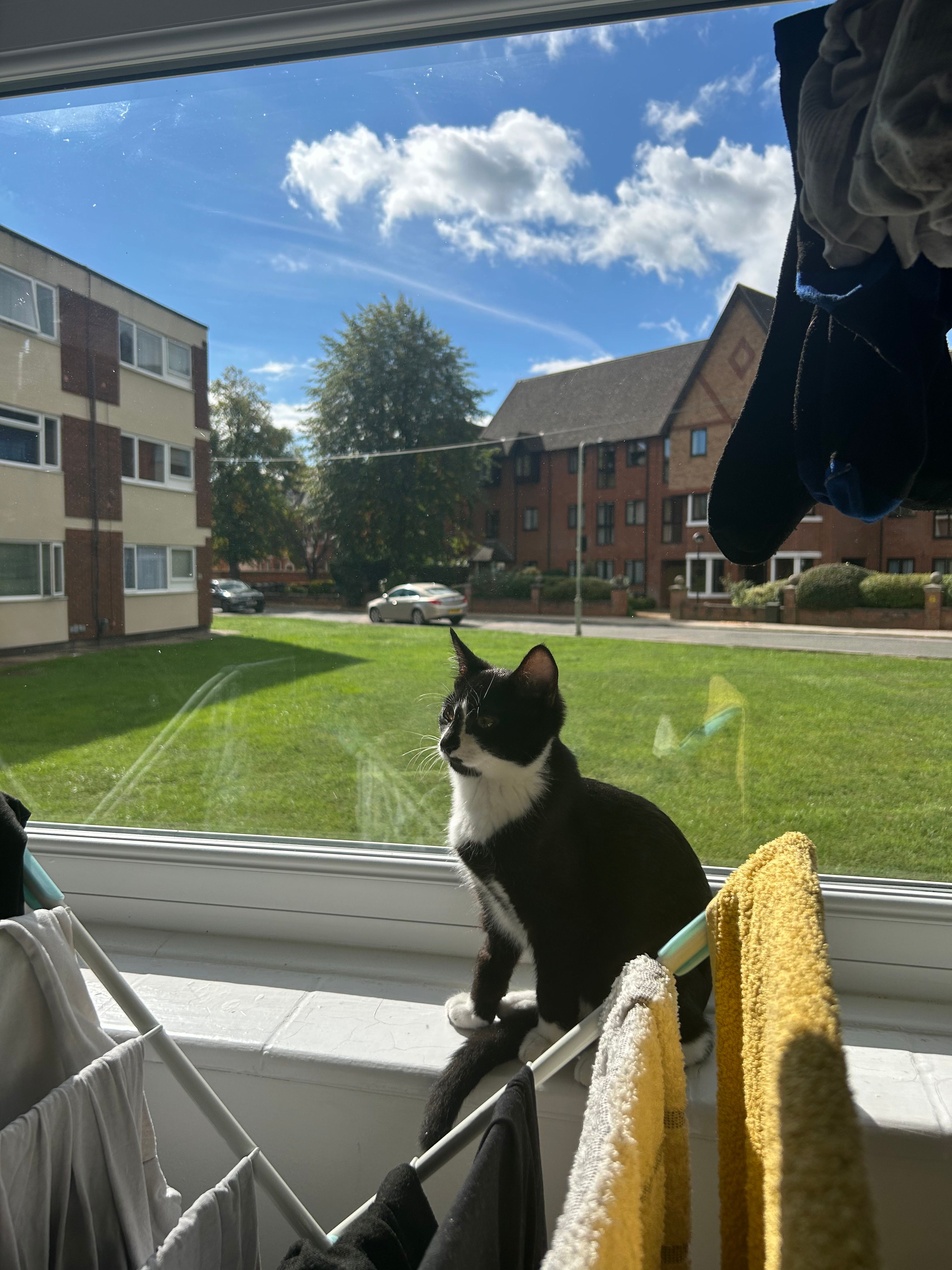 image-16
