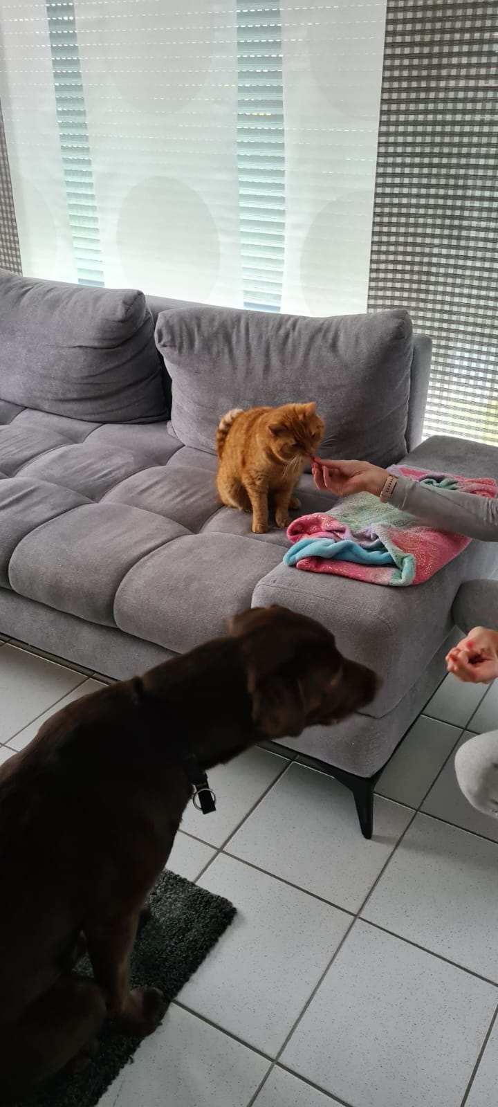 image-21