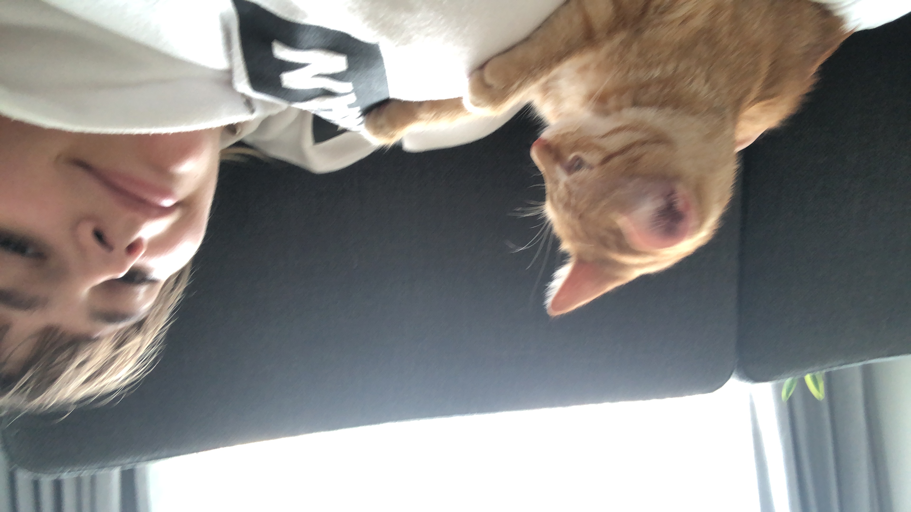 image-8