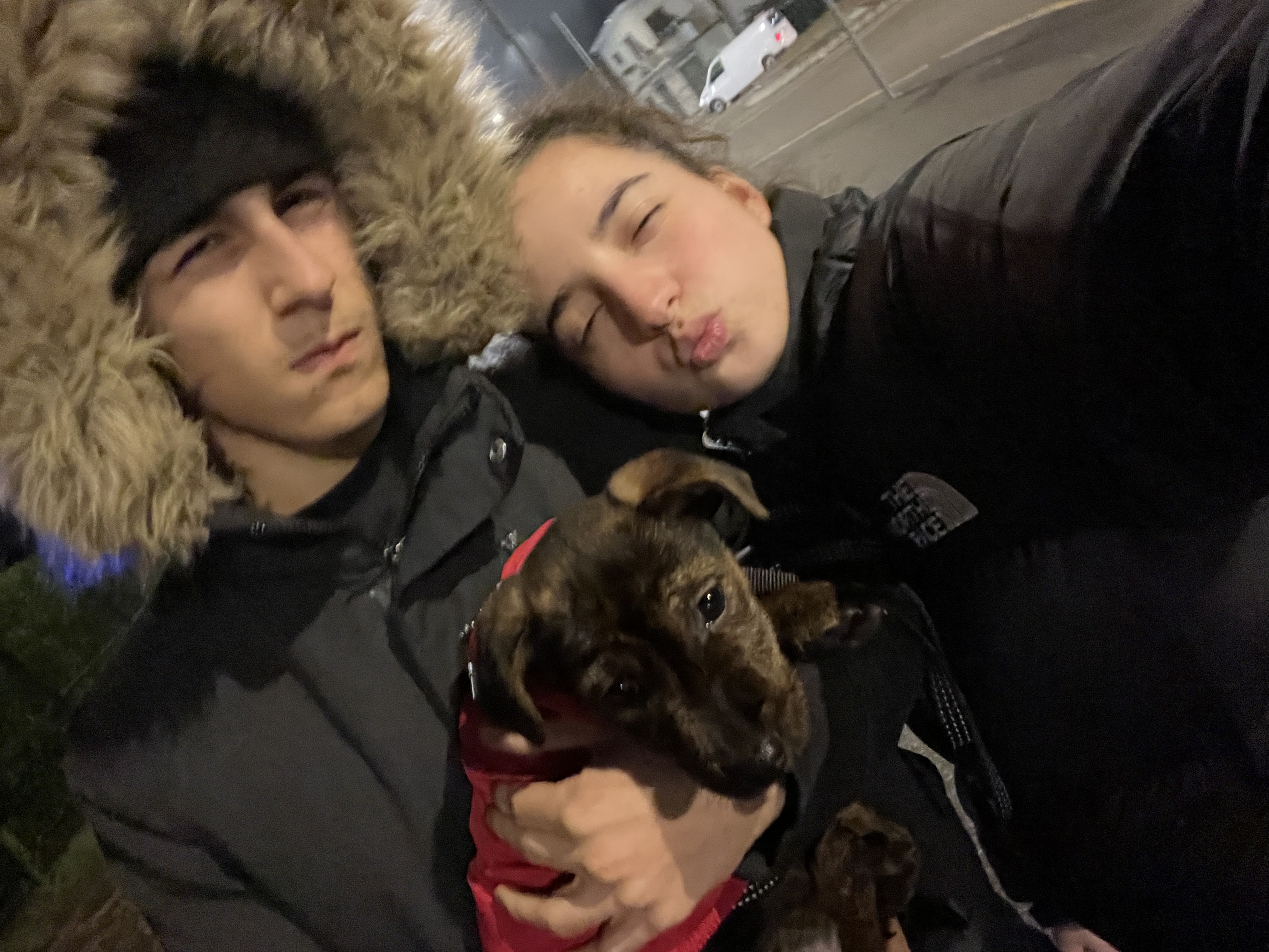 image-11