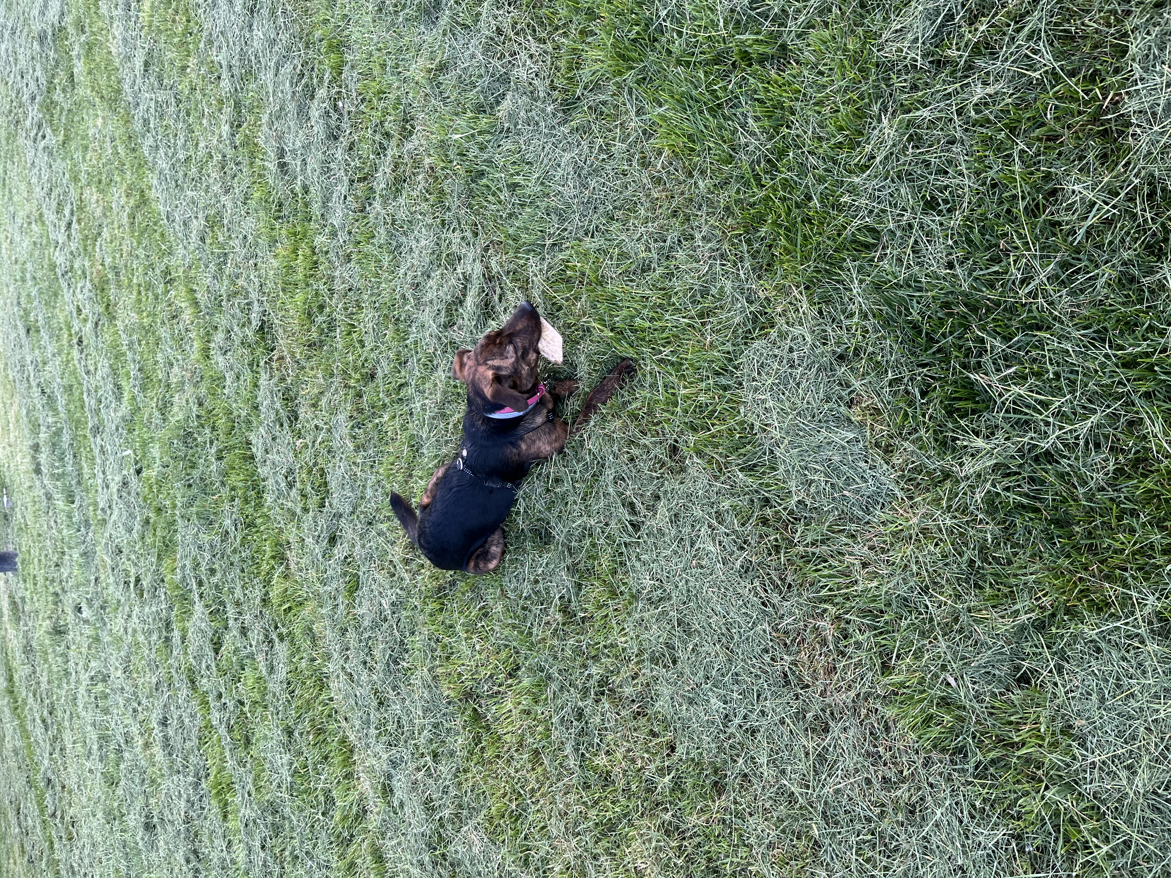 image-6