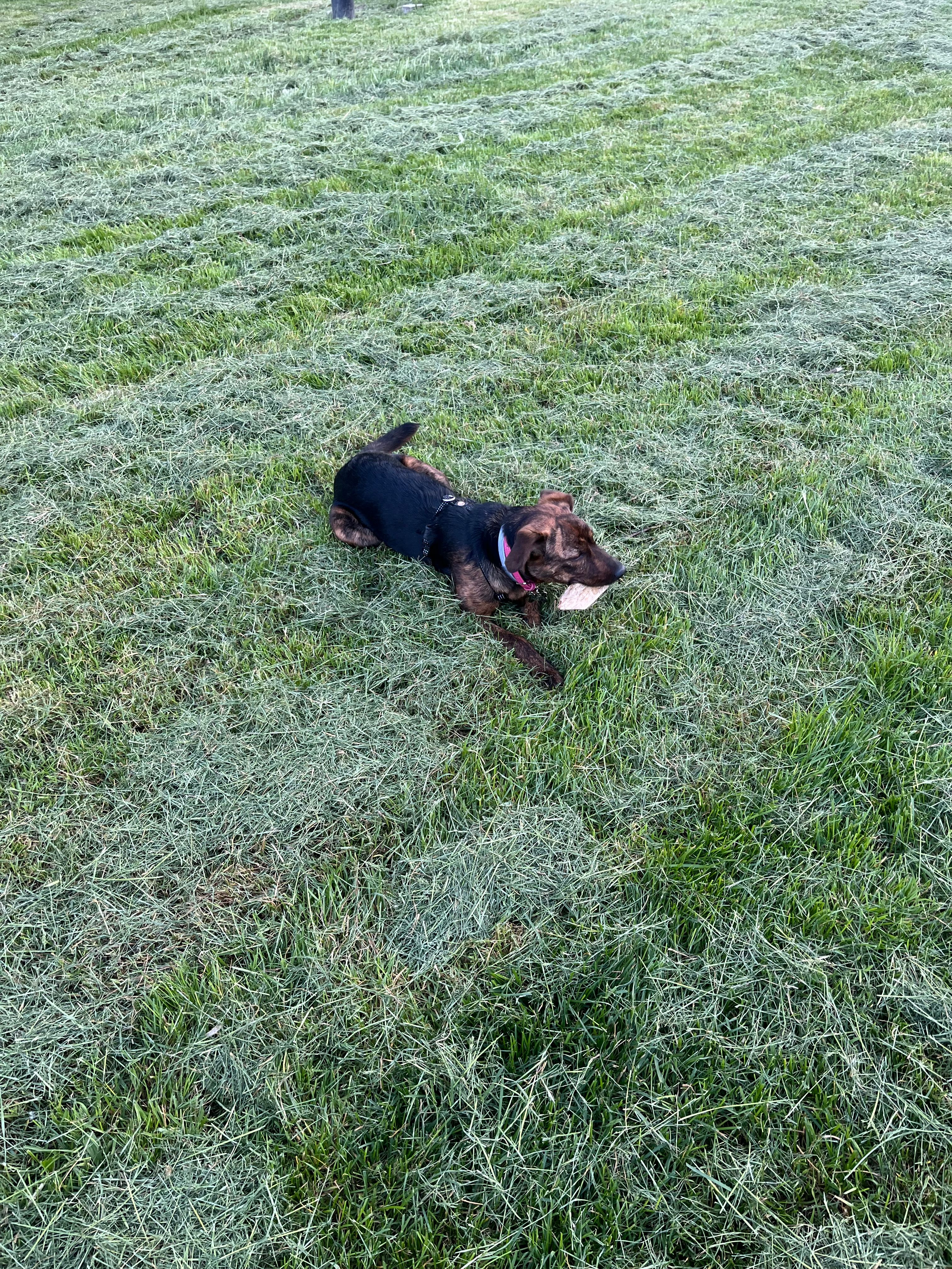 image-6