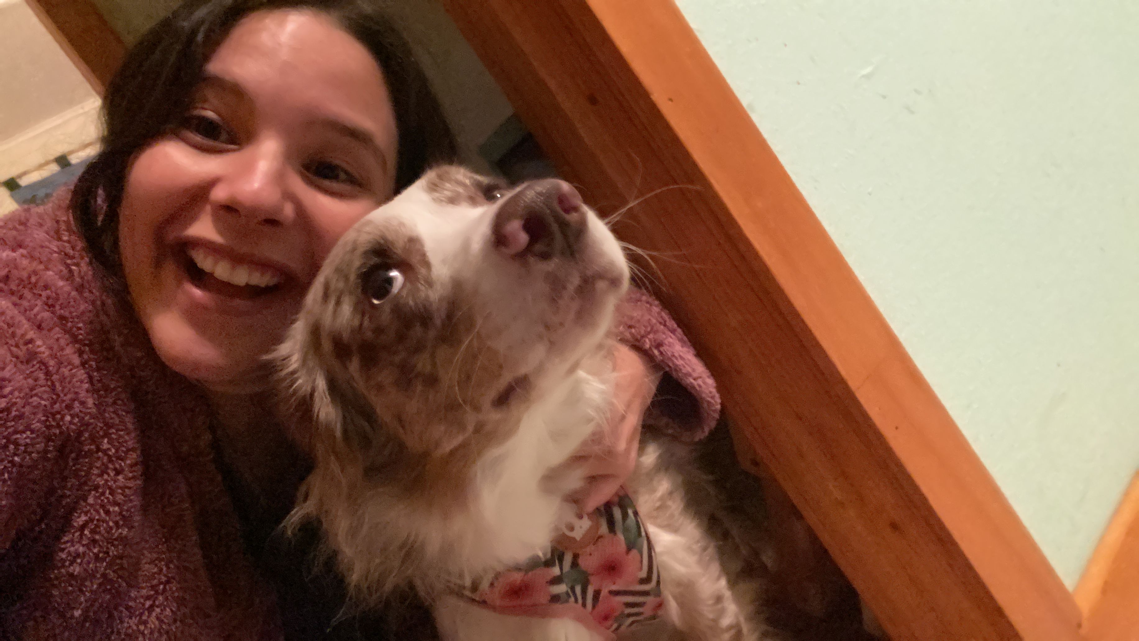 image-4