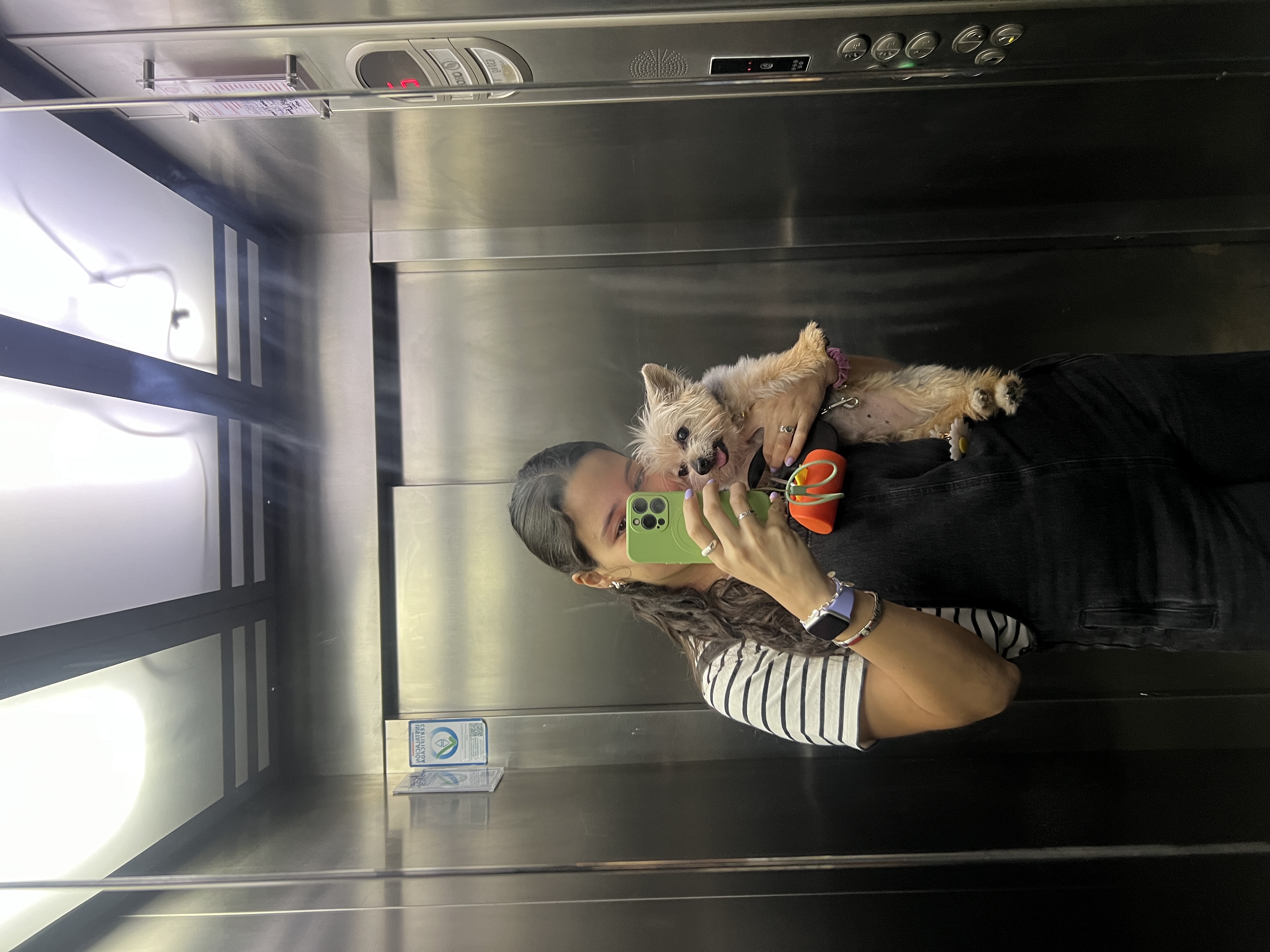 image-7