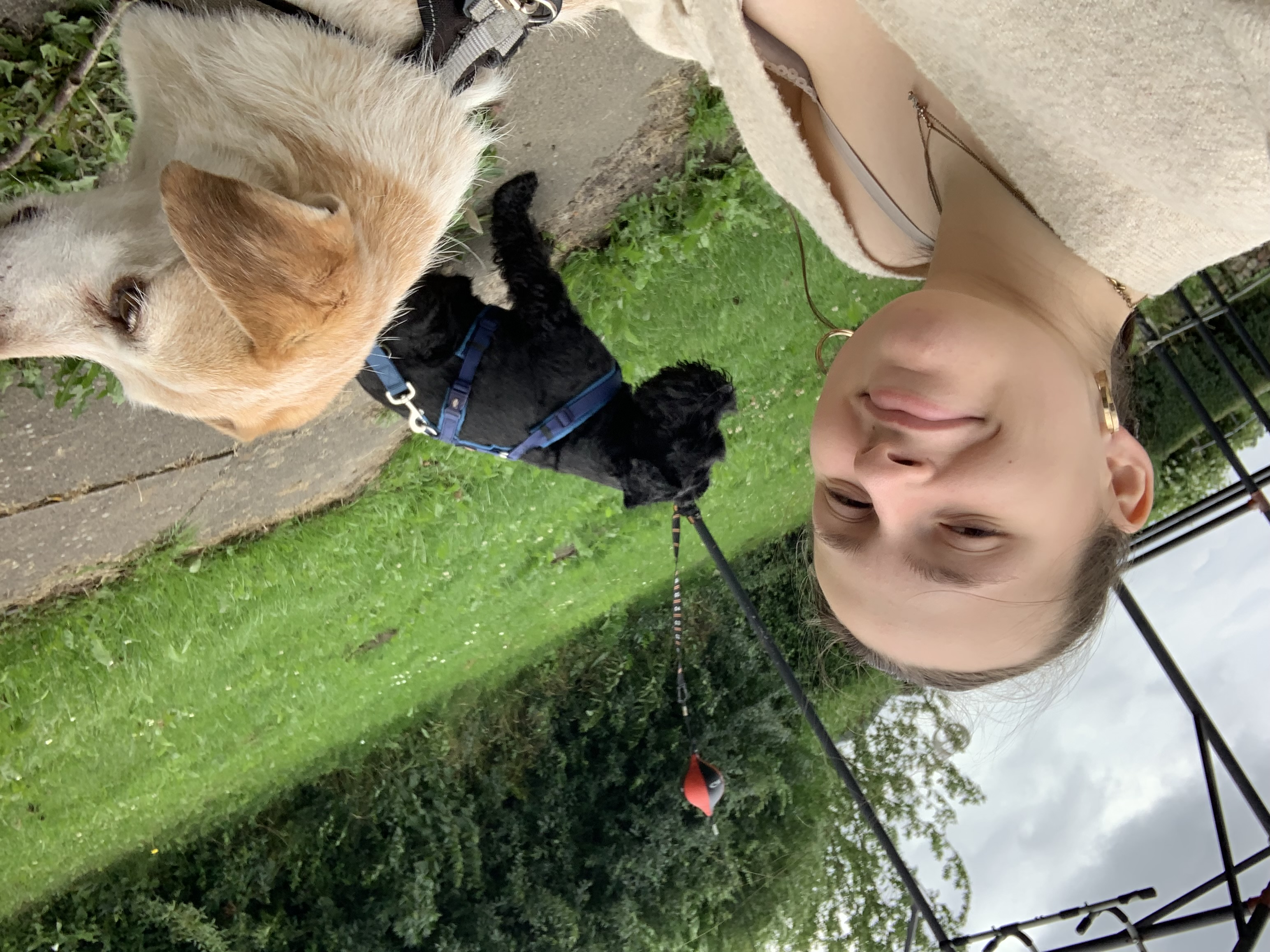 image-6
