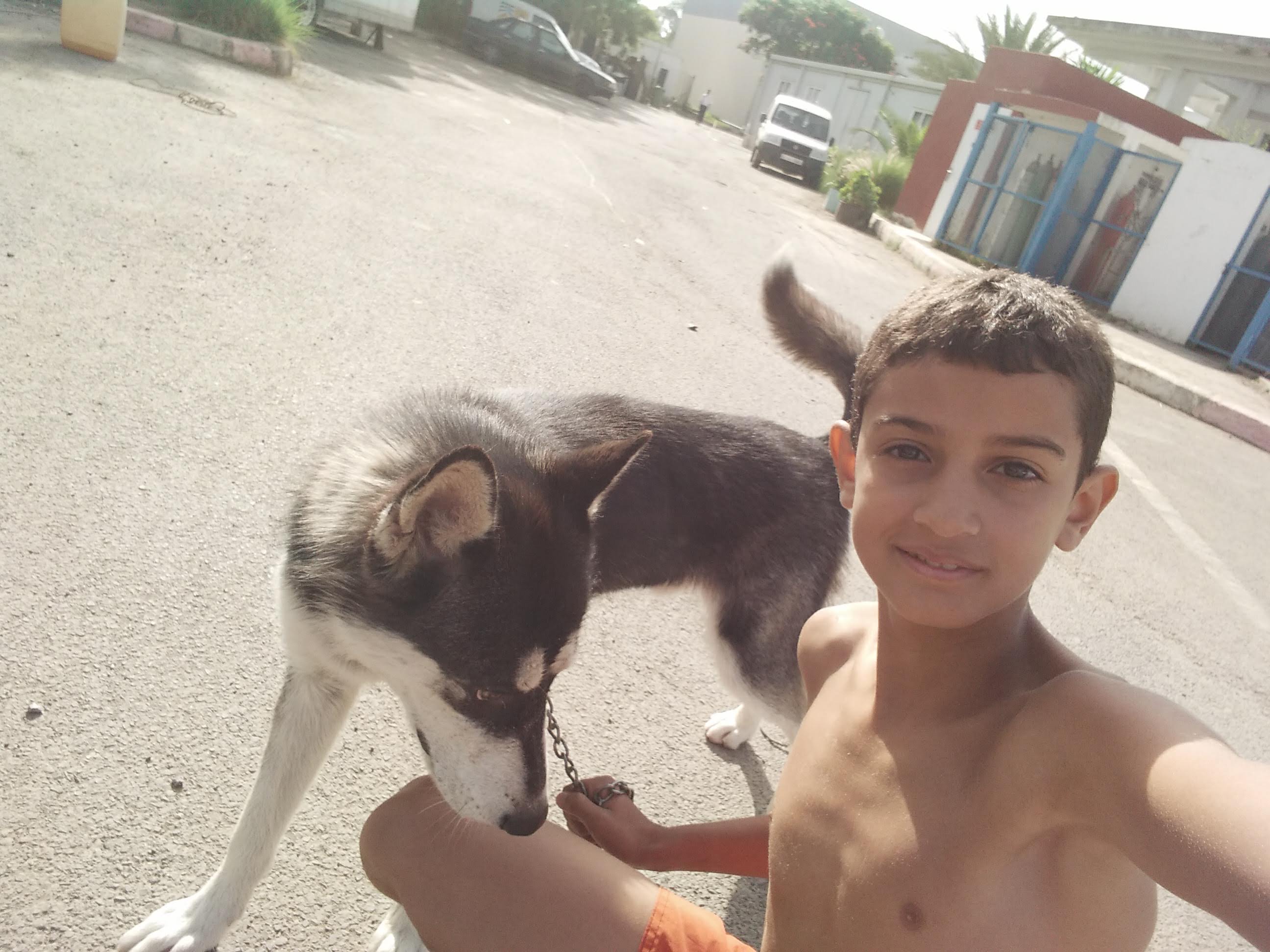image-13