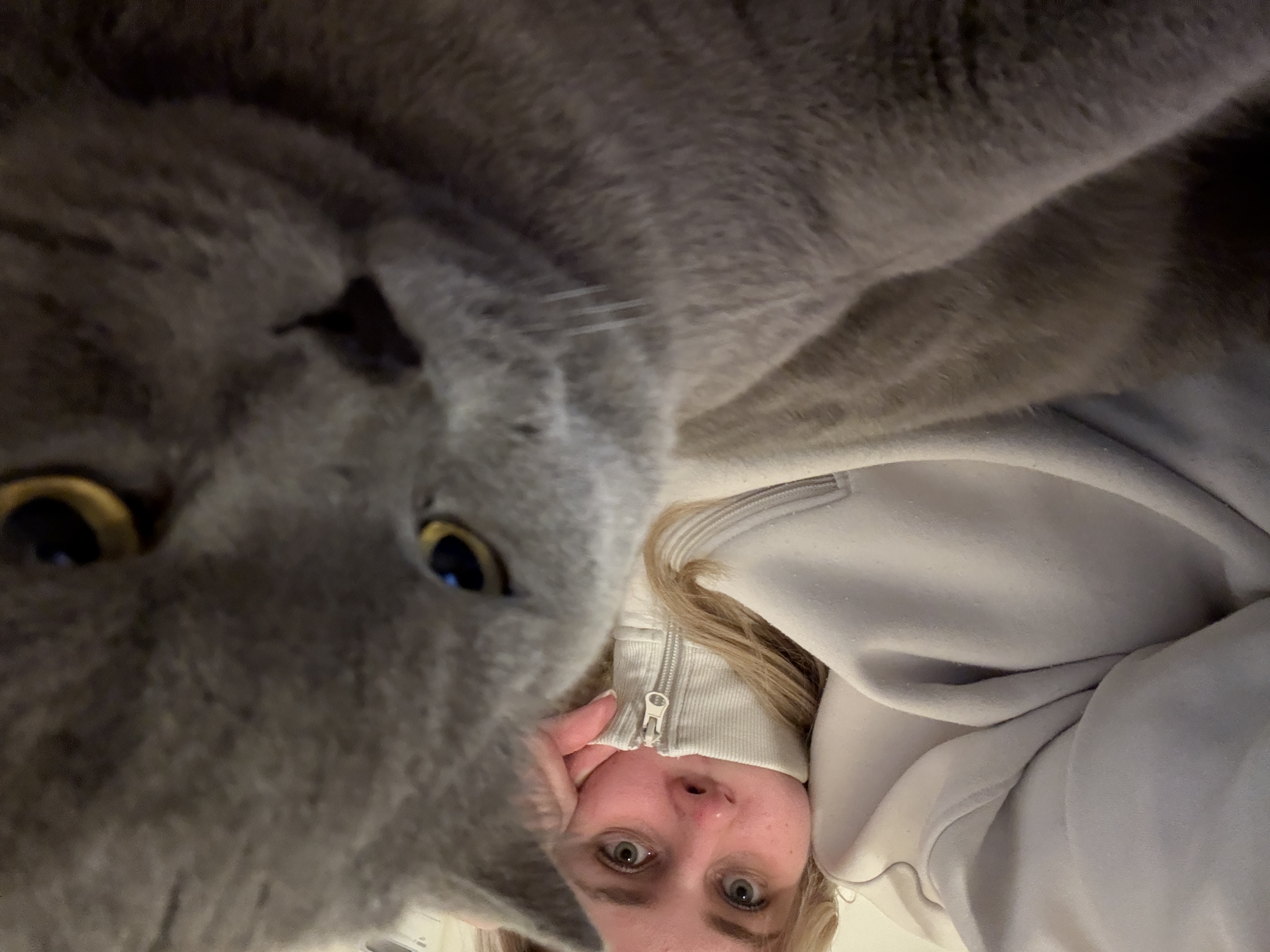 image-4