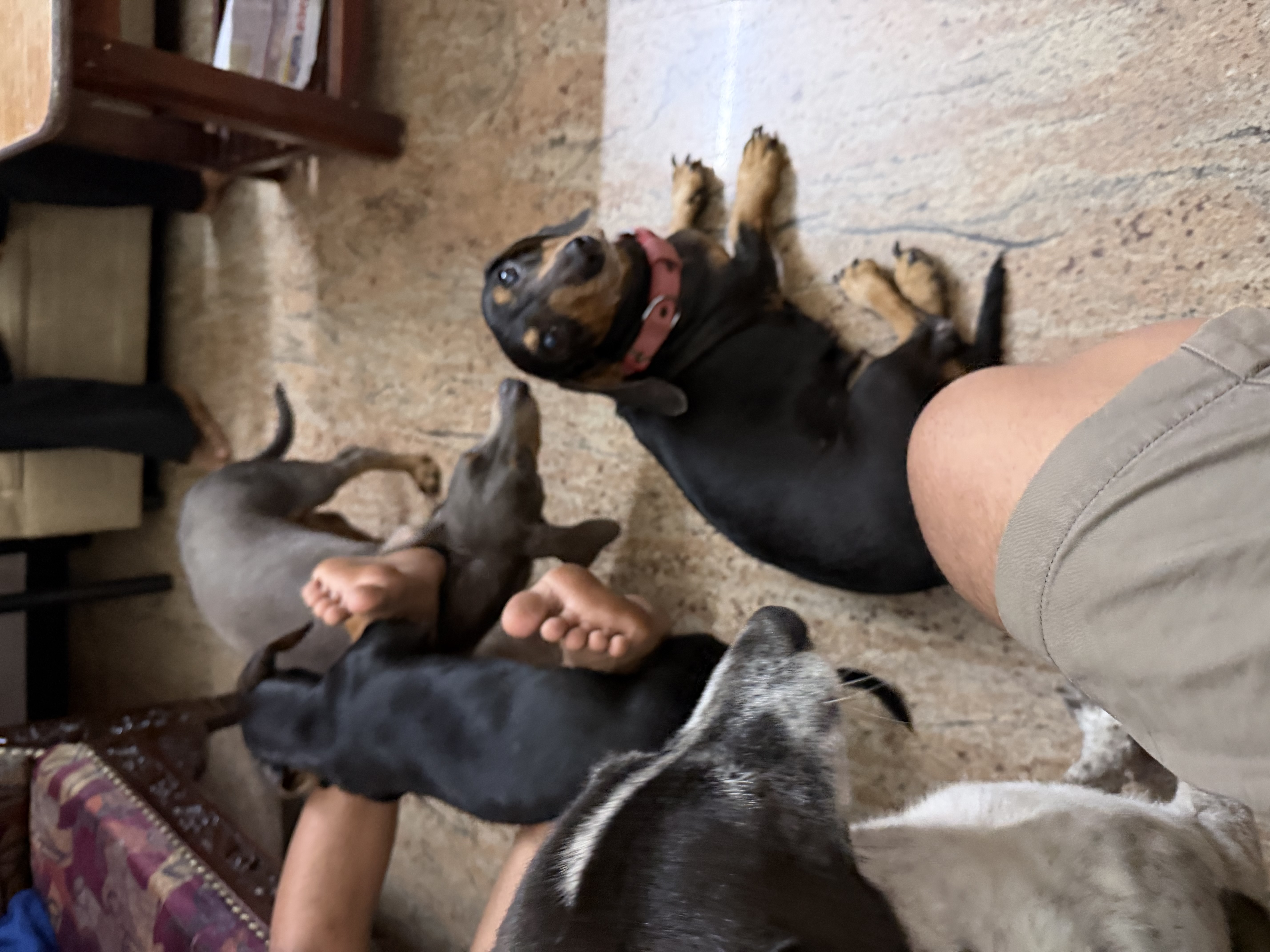 image-11