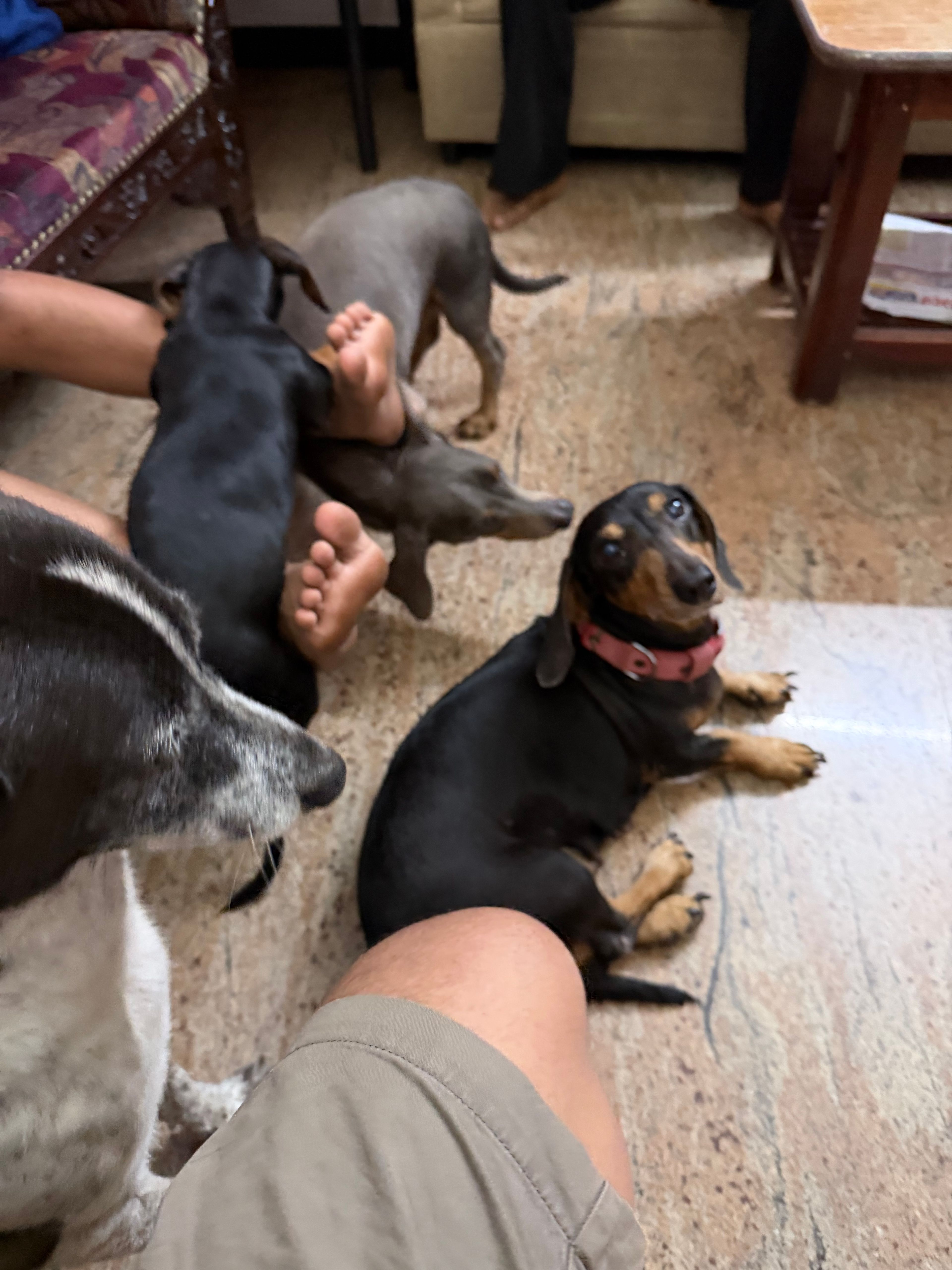image-11