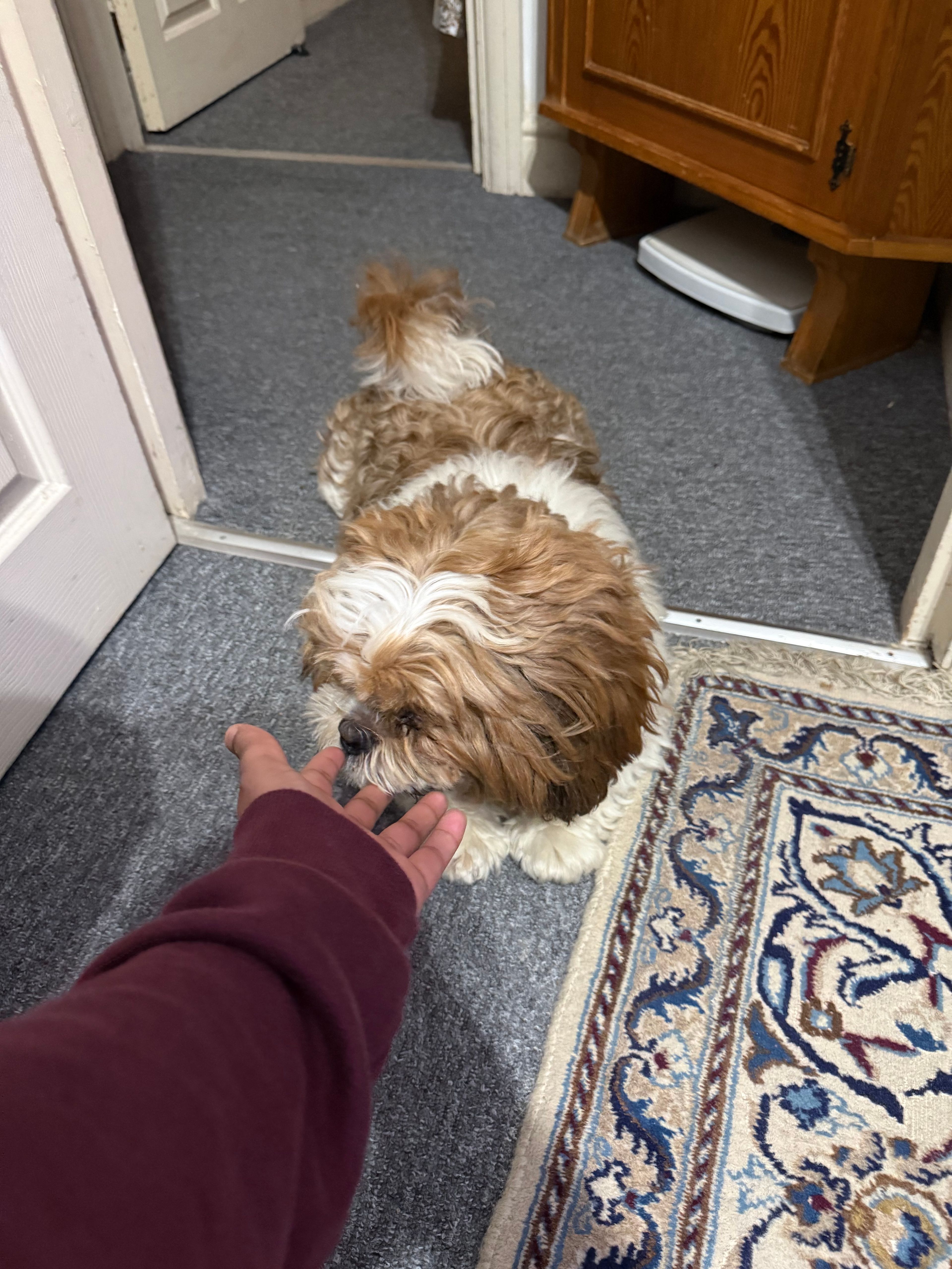 image-14