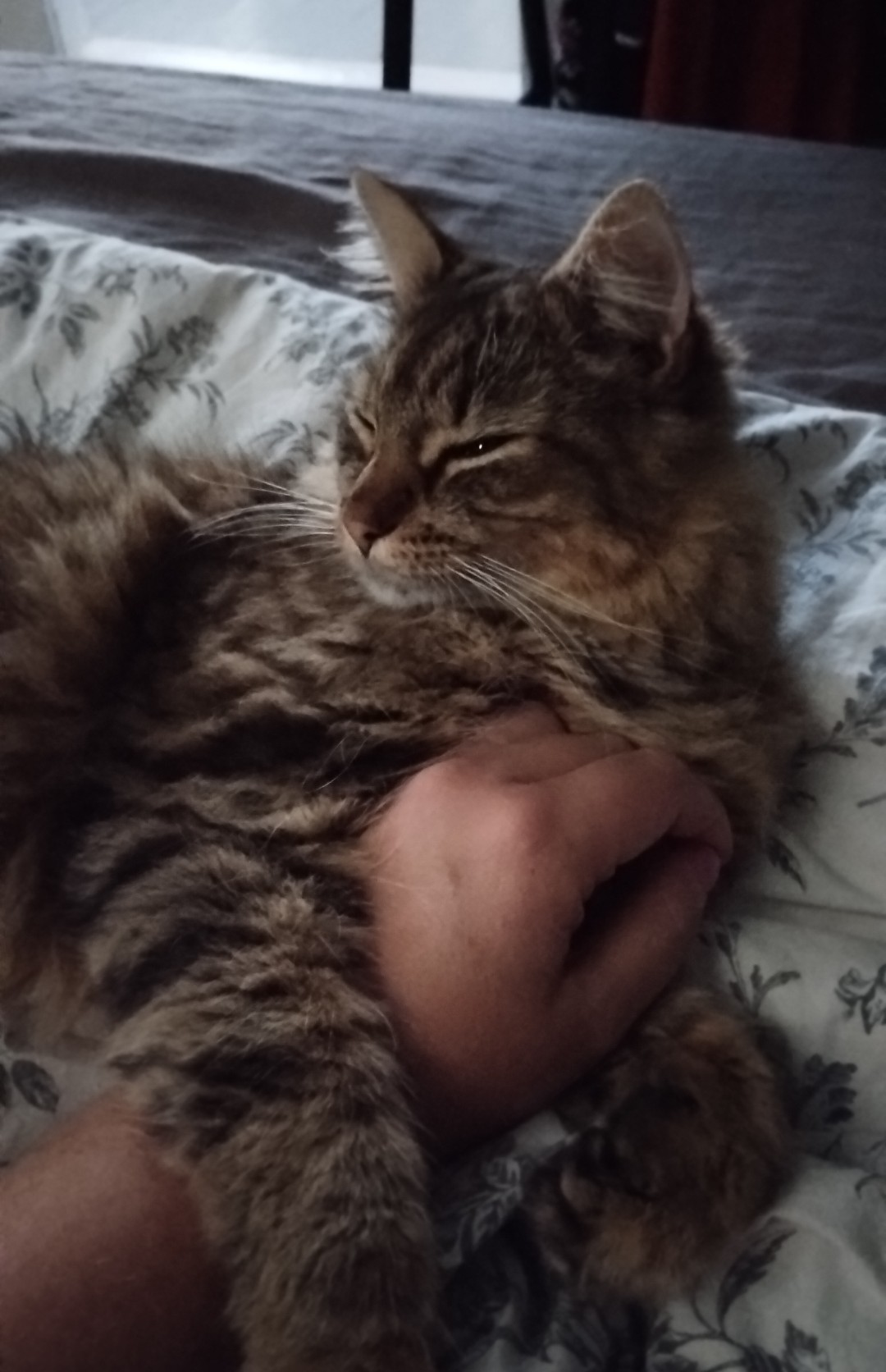 image-6