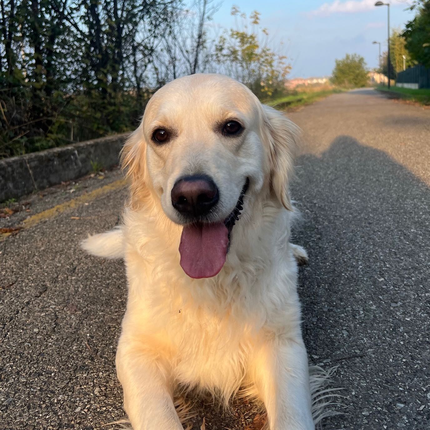 Ellie