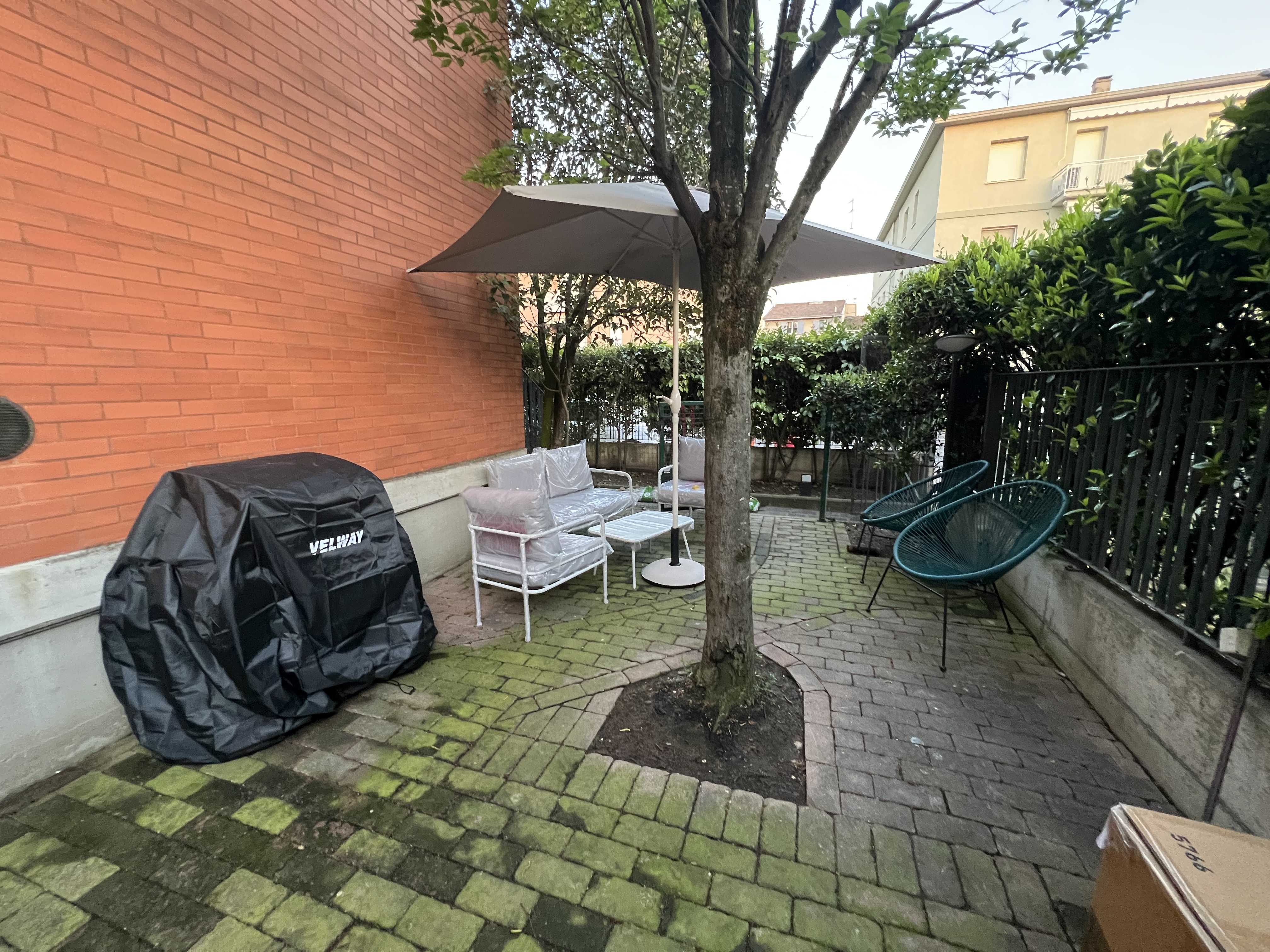 image-20