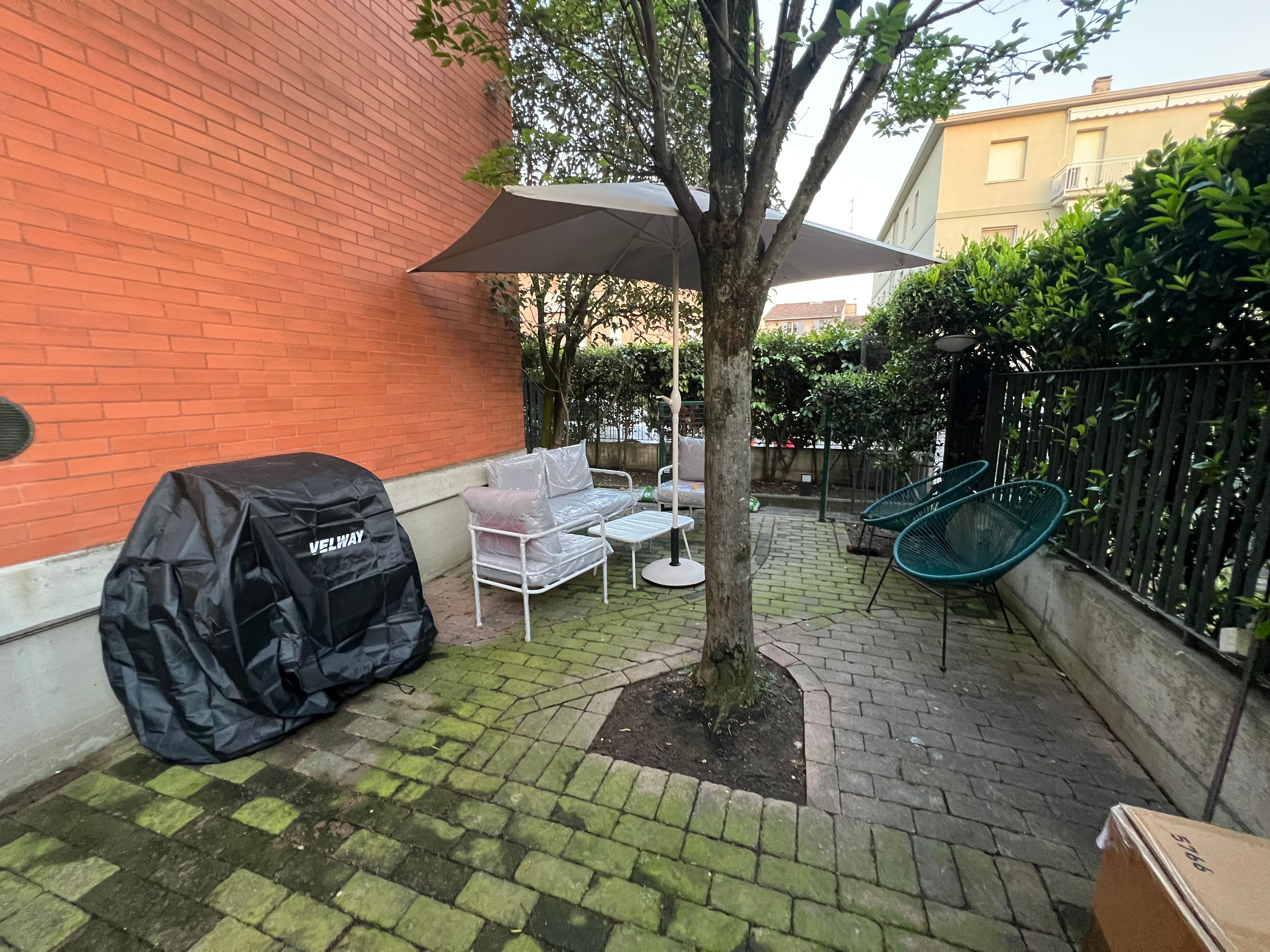 image-20