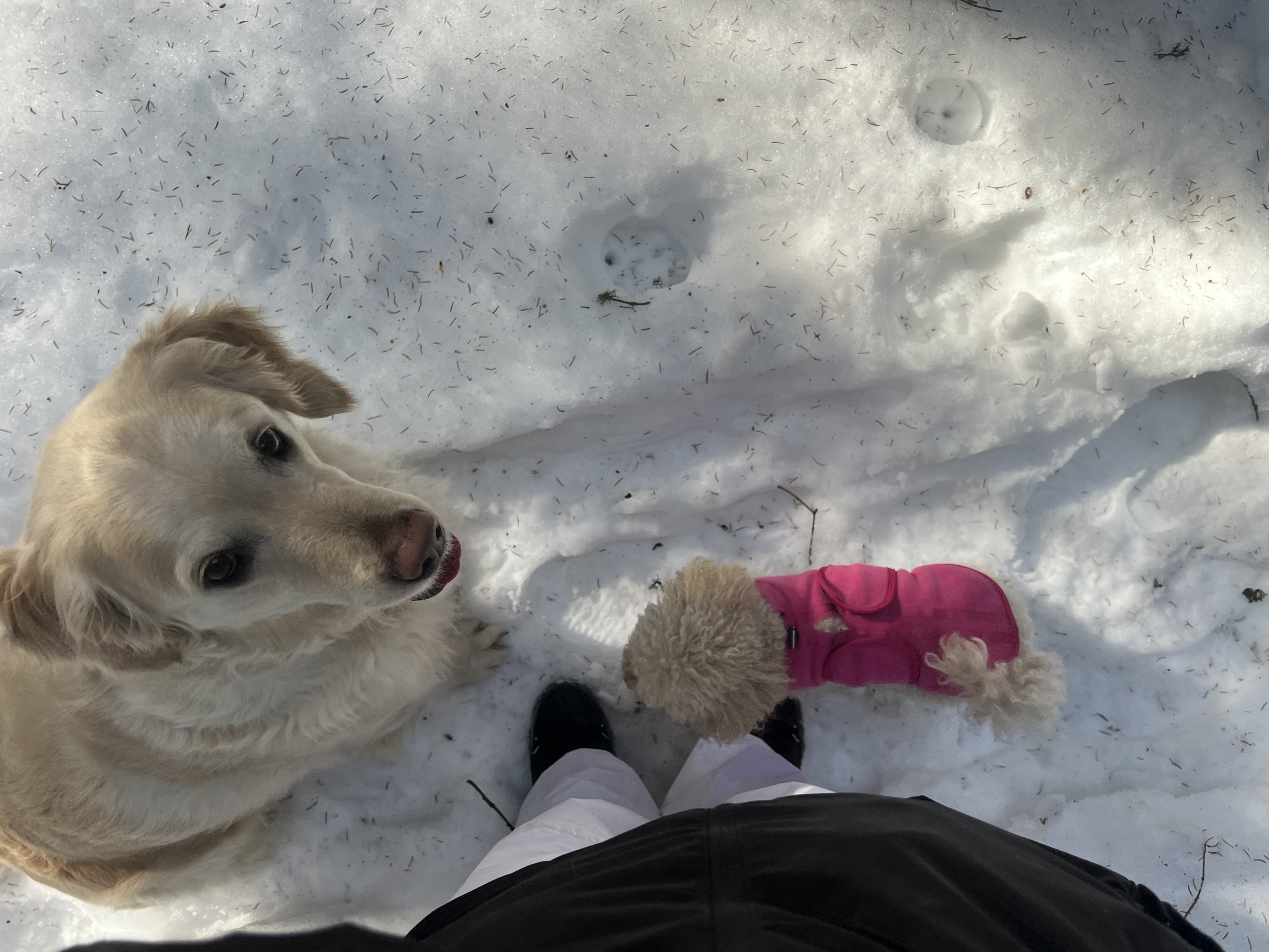 image-8
