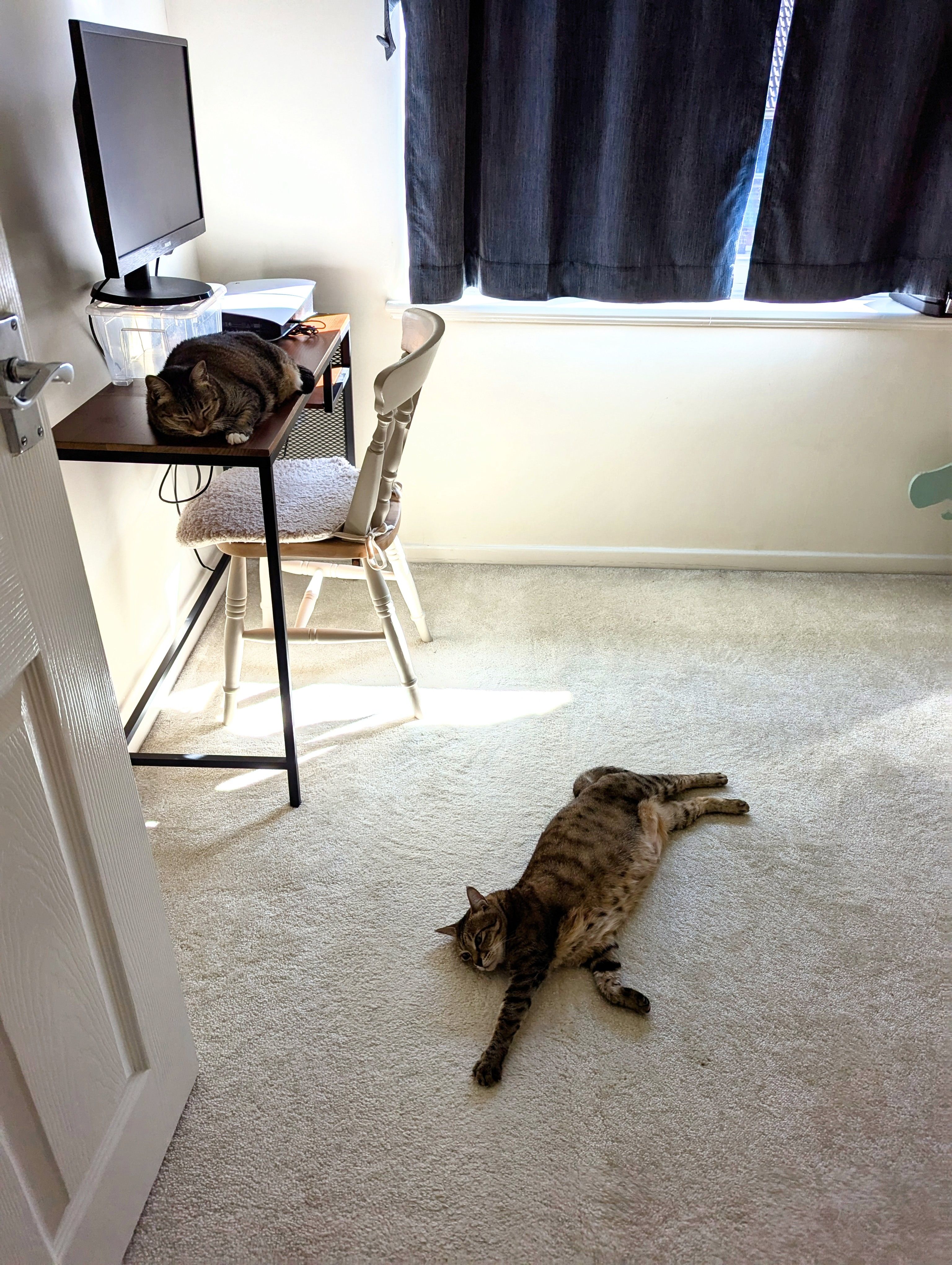 image-18