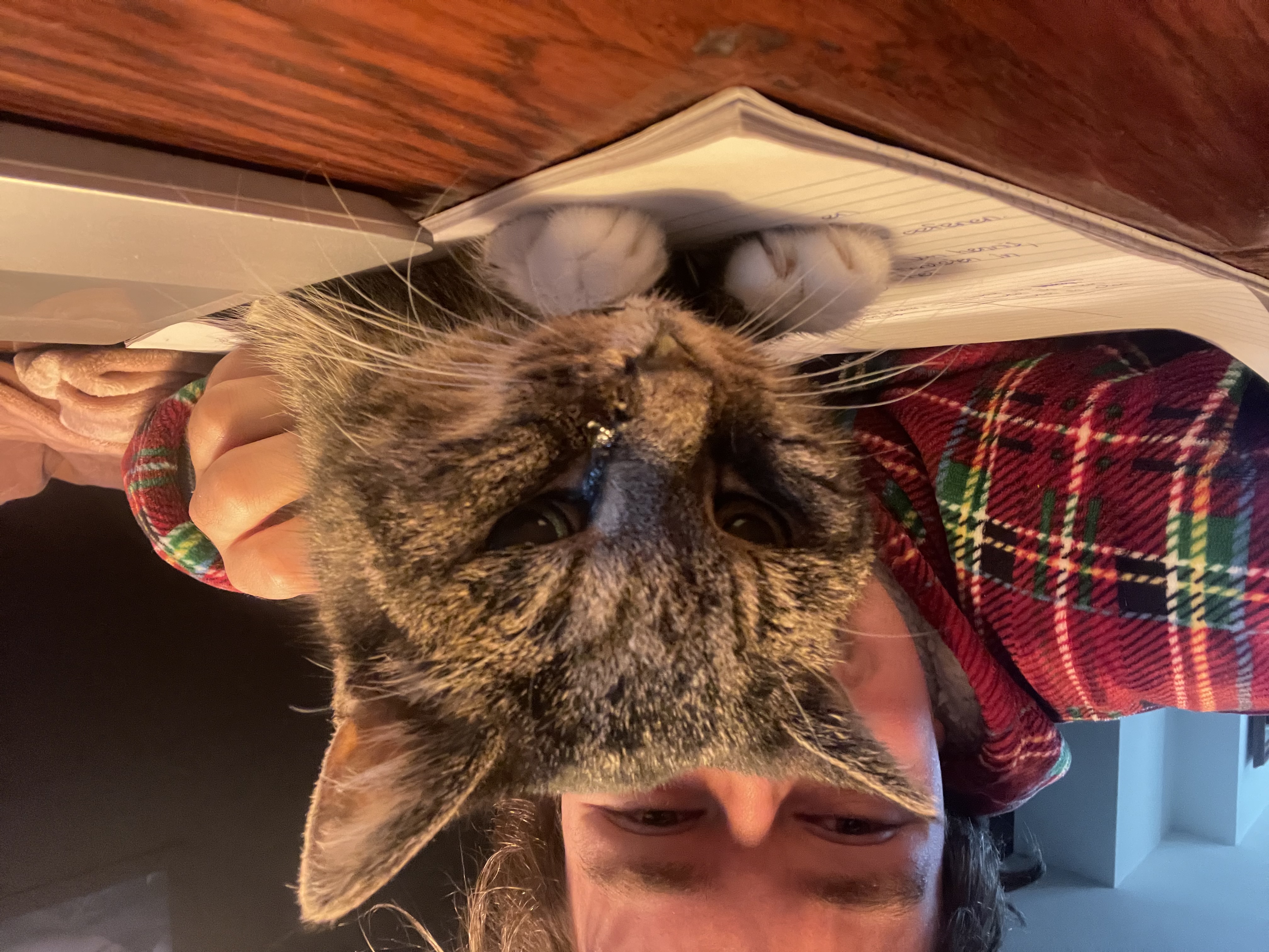 image-10
