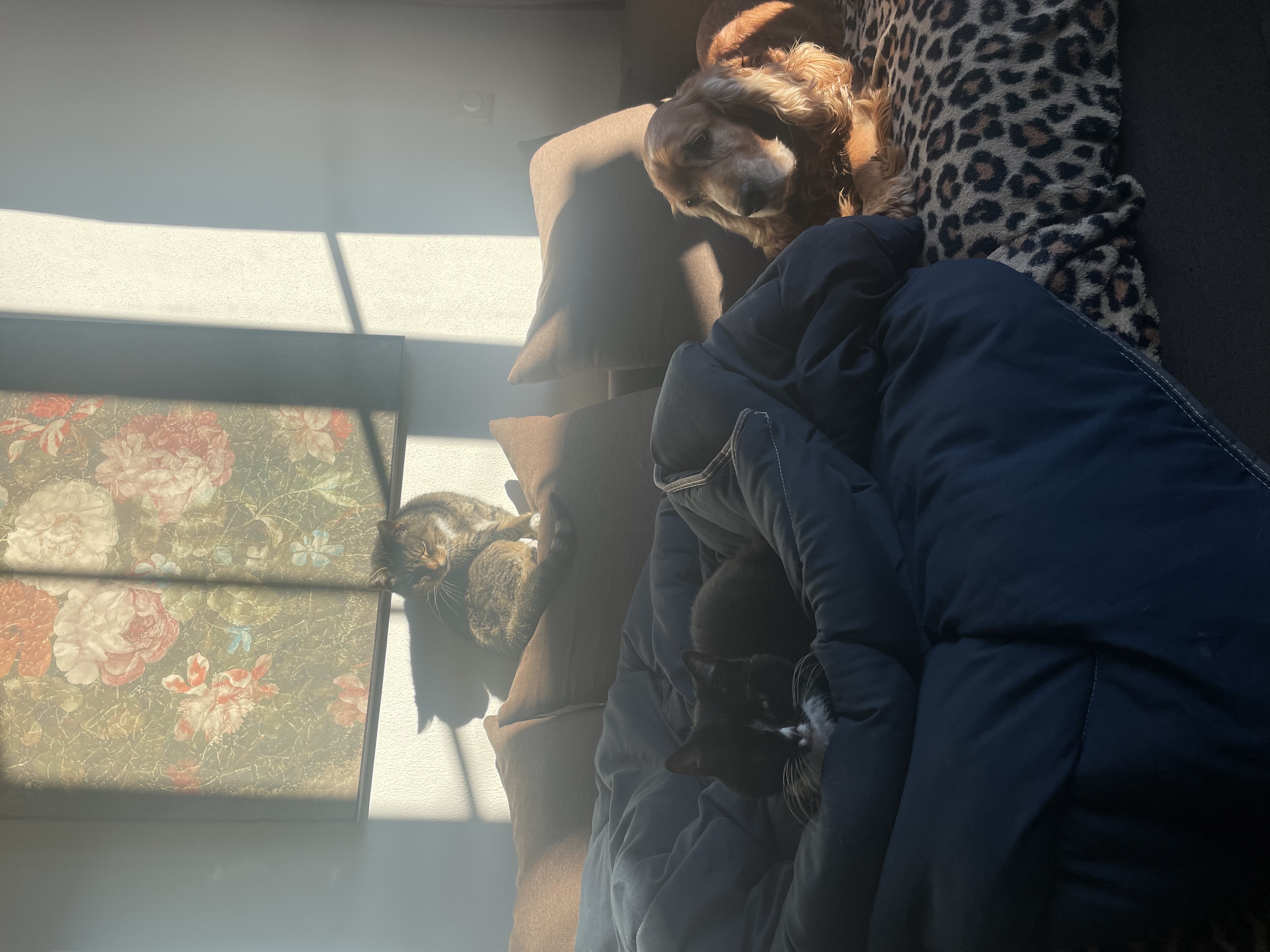 image-7
