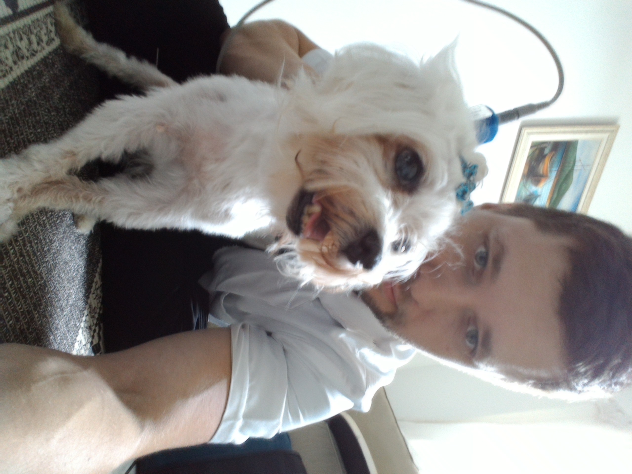 image-8
