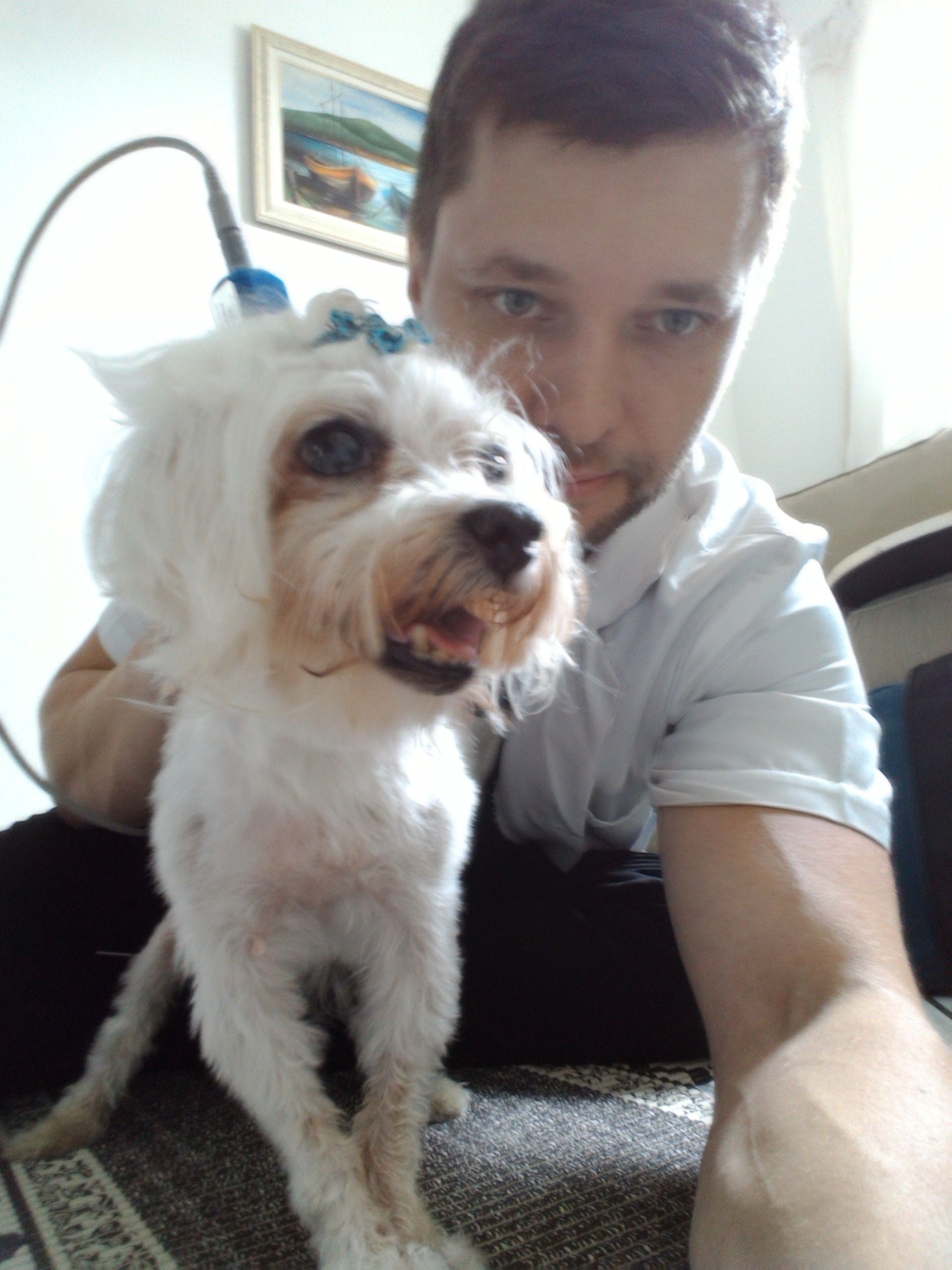 image-8