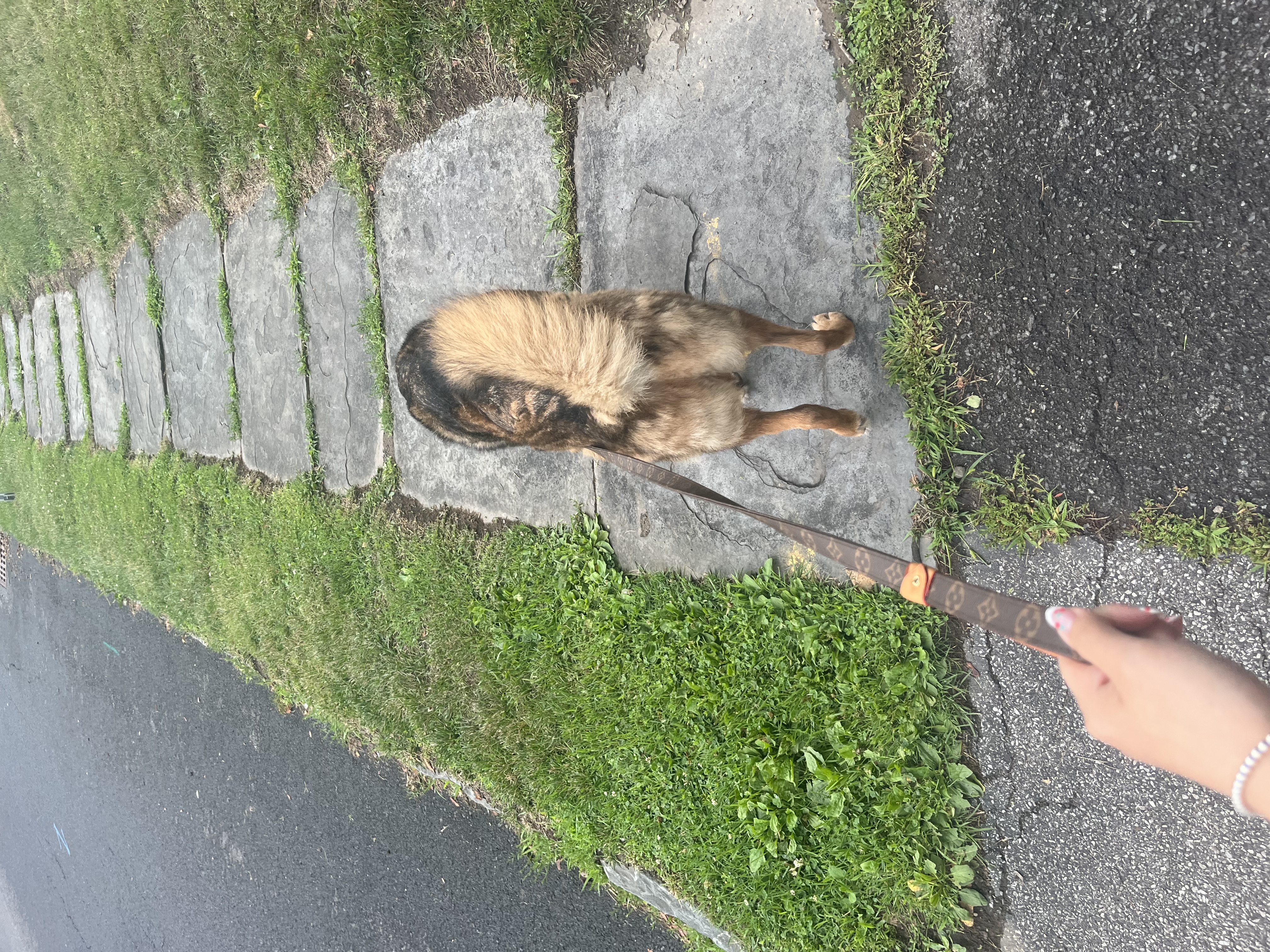 image-8