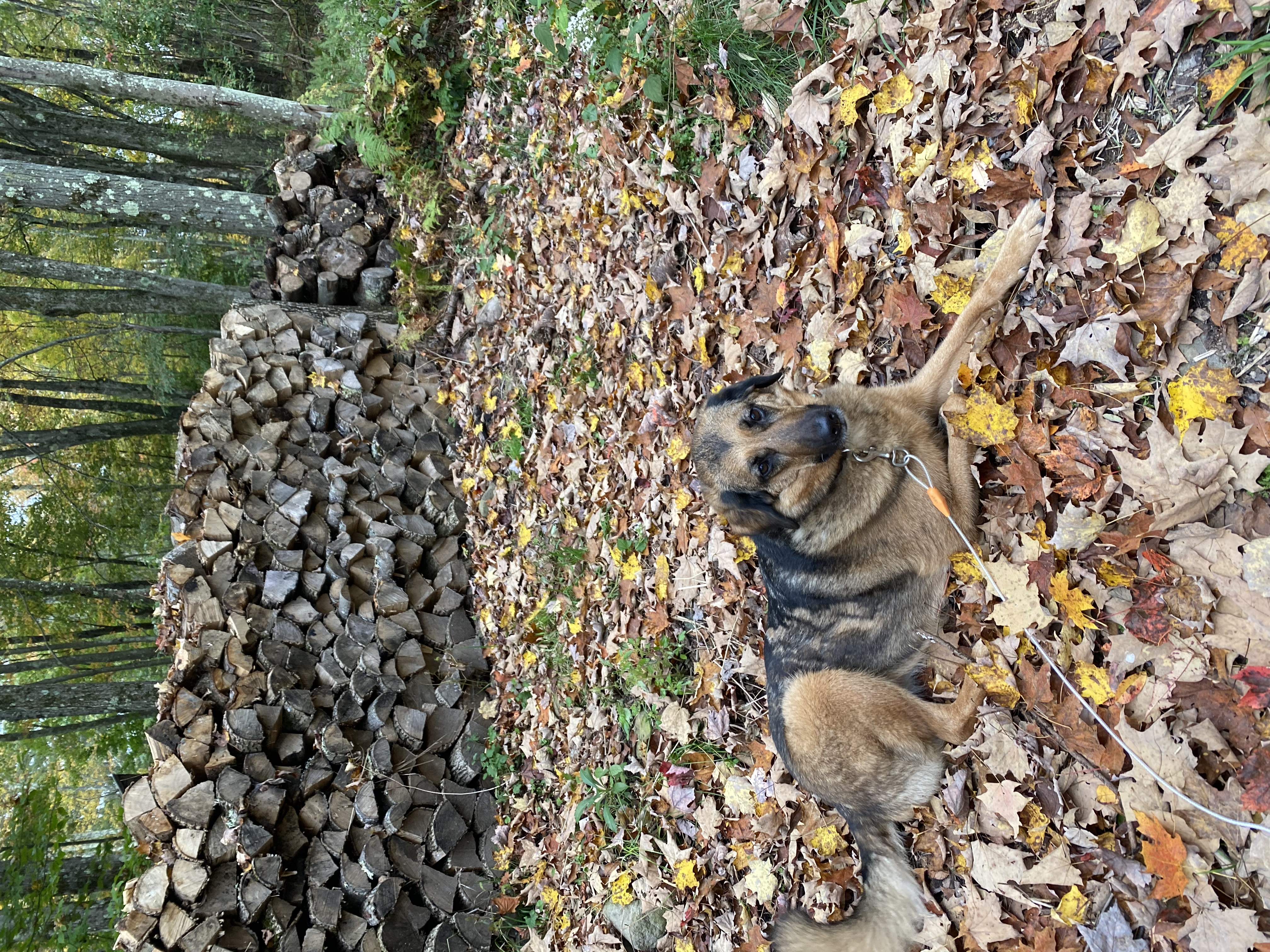image-11