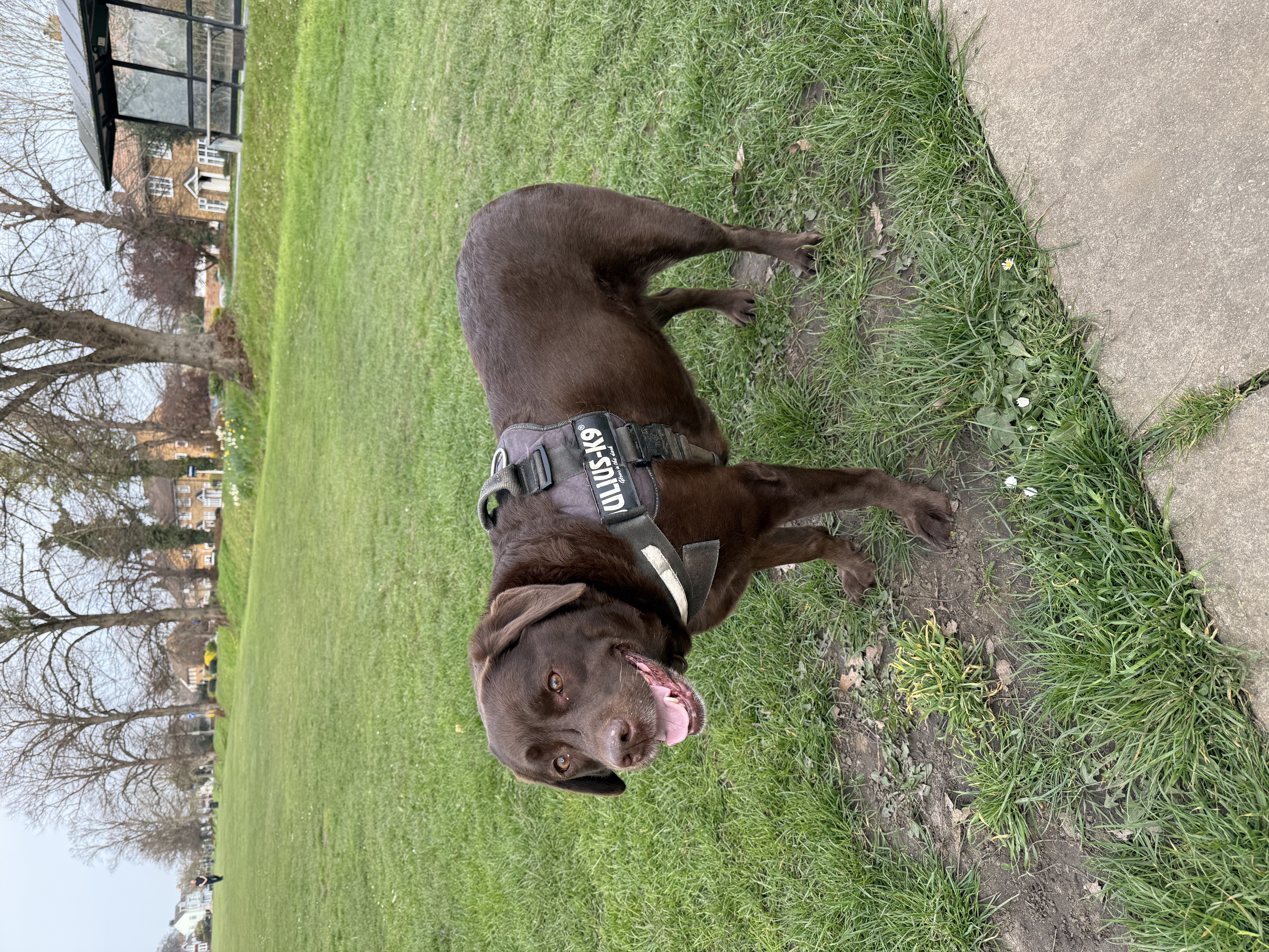 image-12