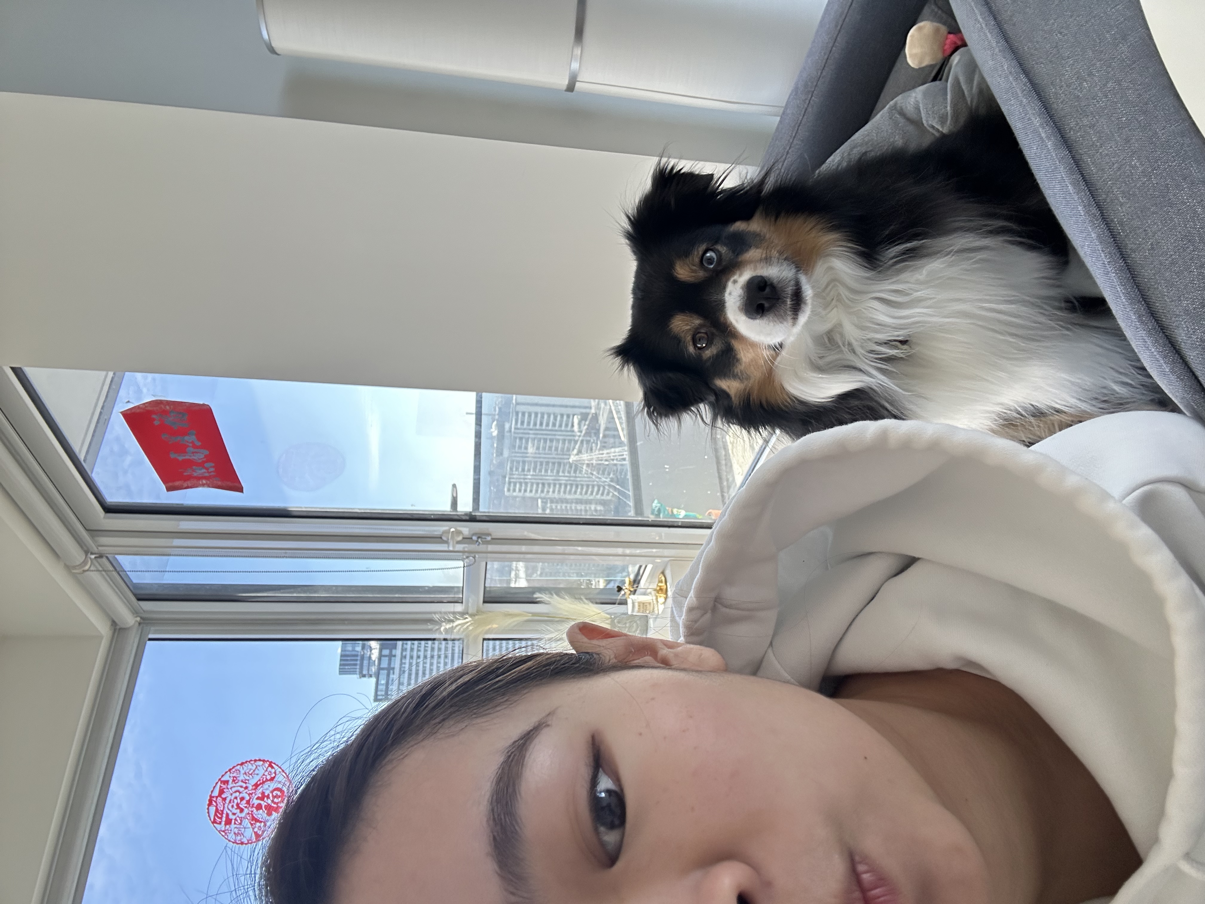 image-11