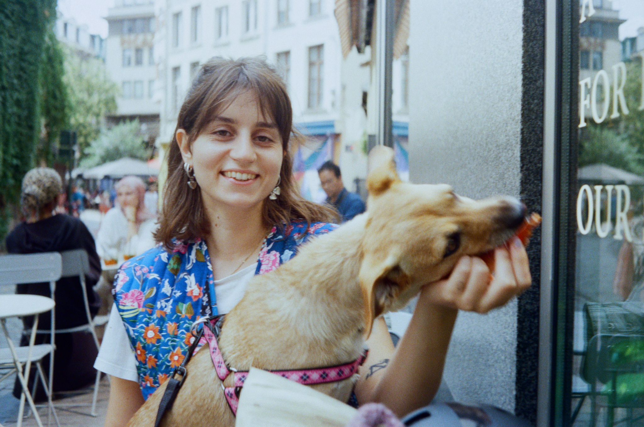 image-7