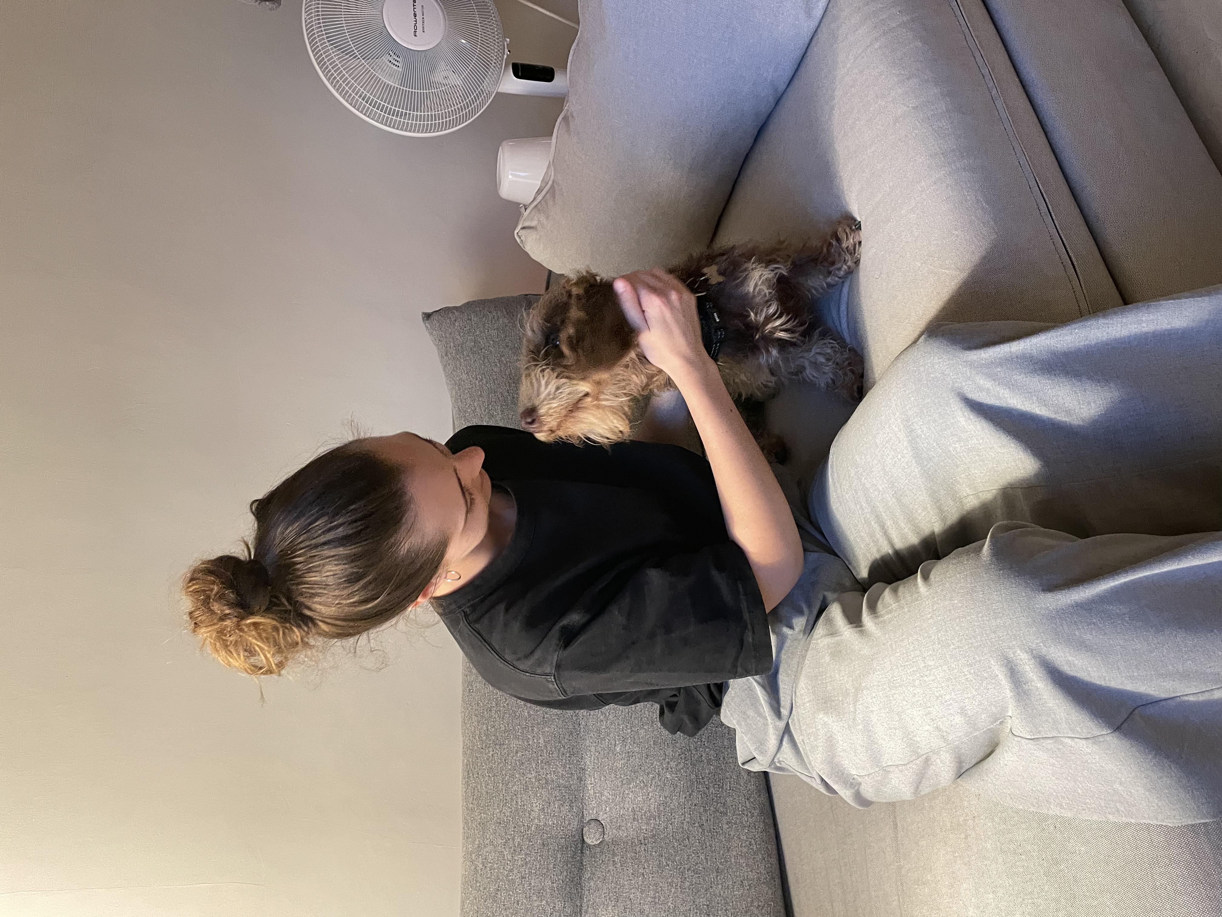image-6