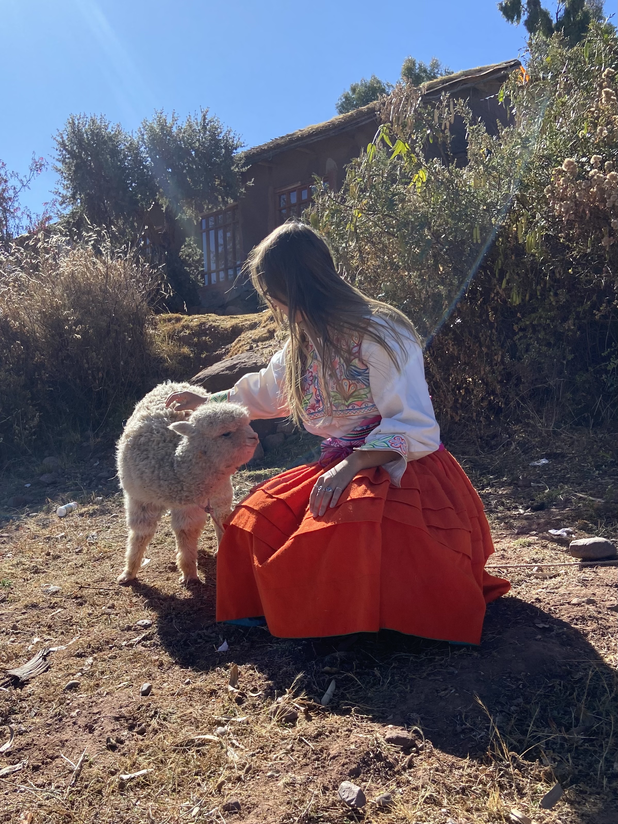 image-8