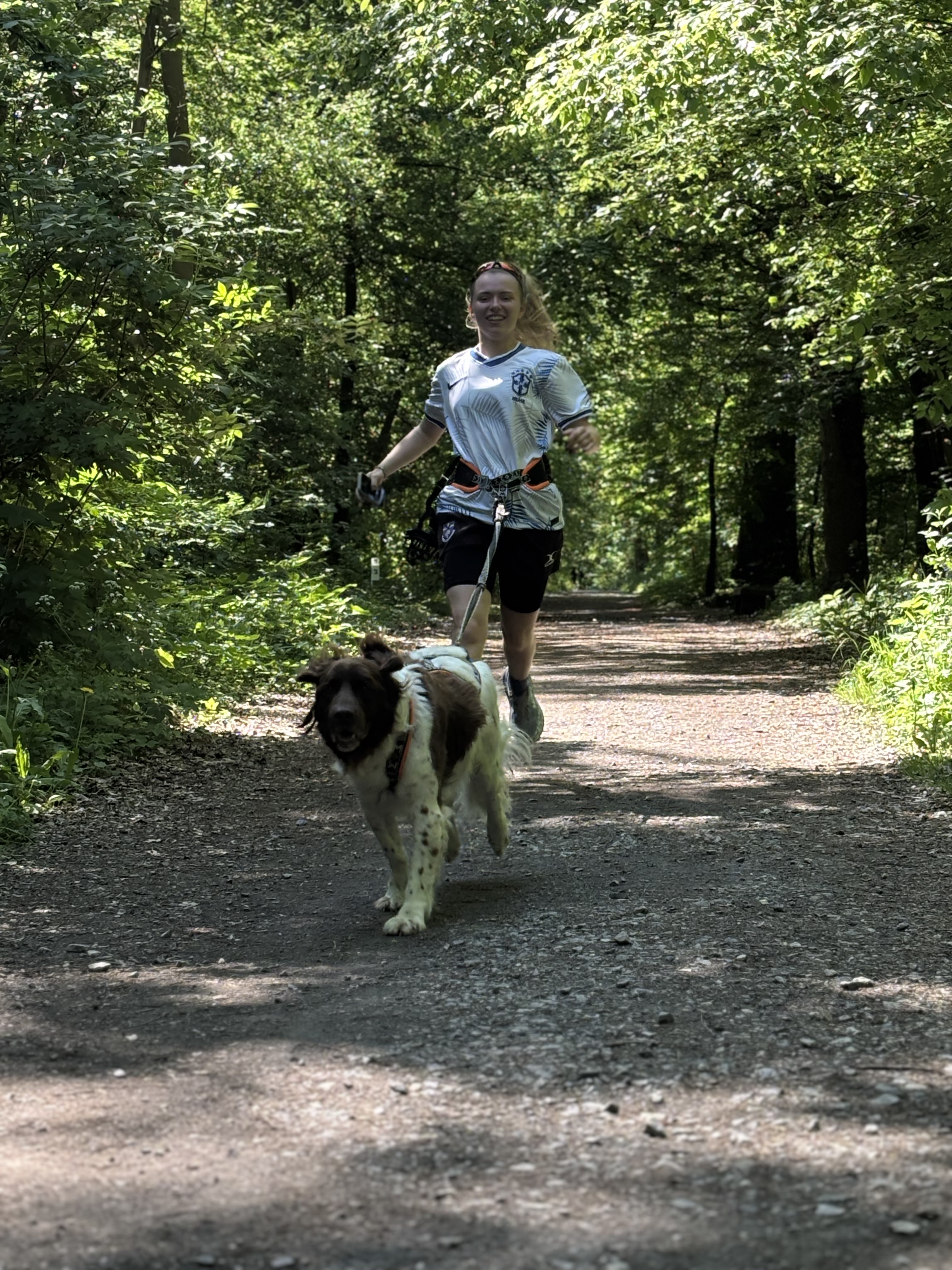 image-2