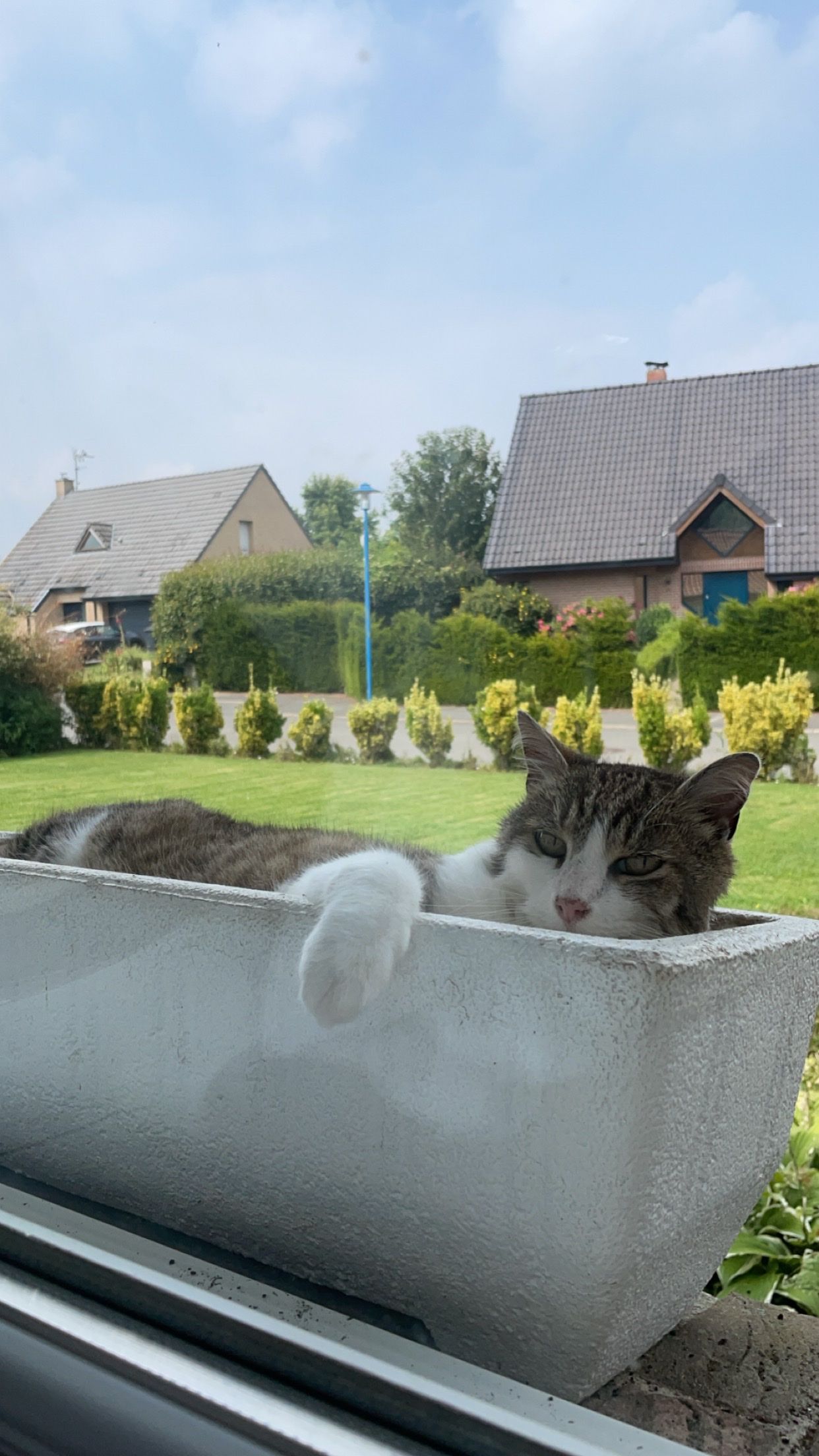 image-11
