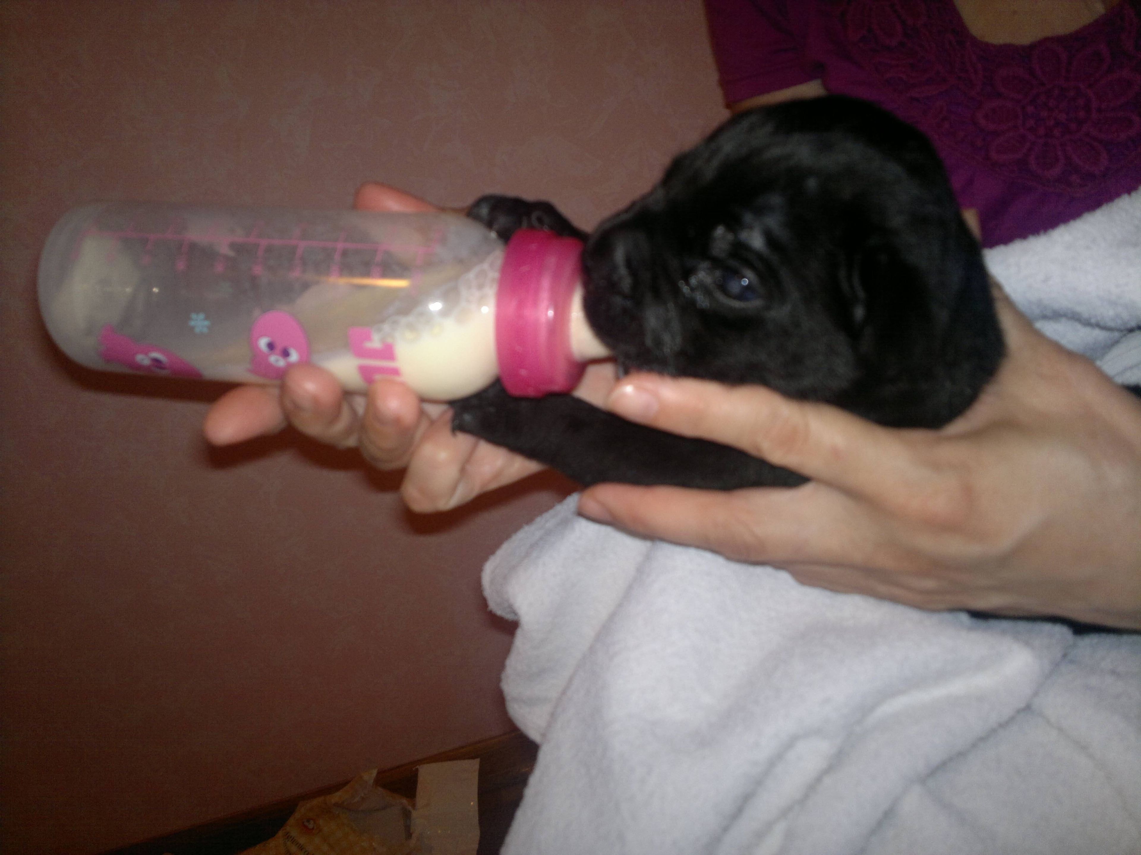 image-5