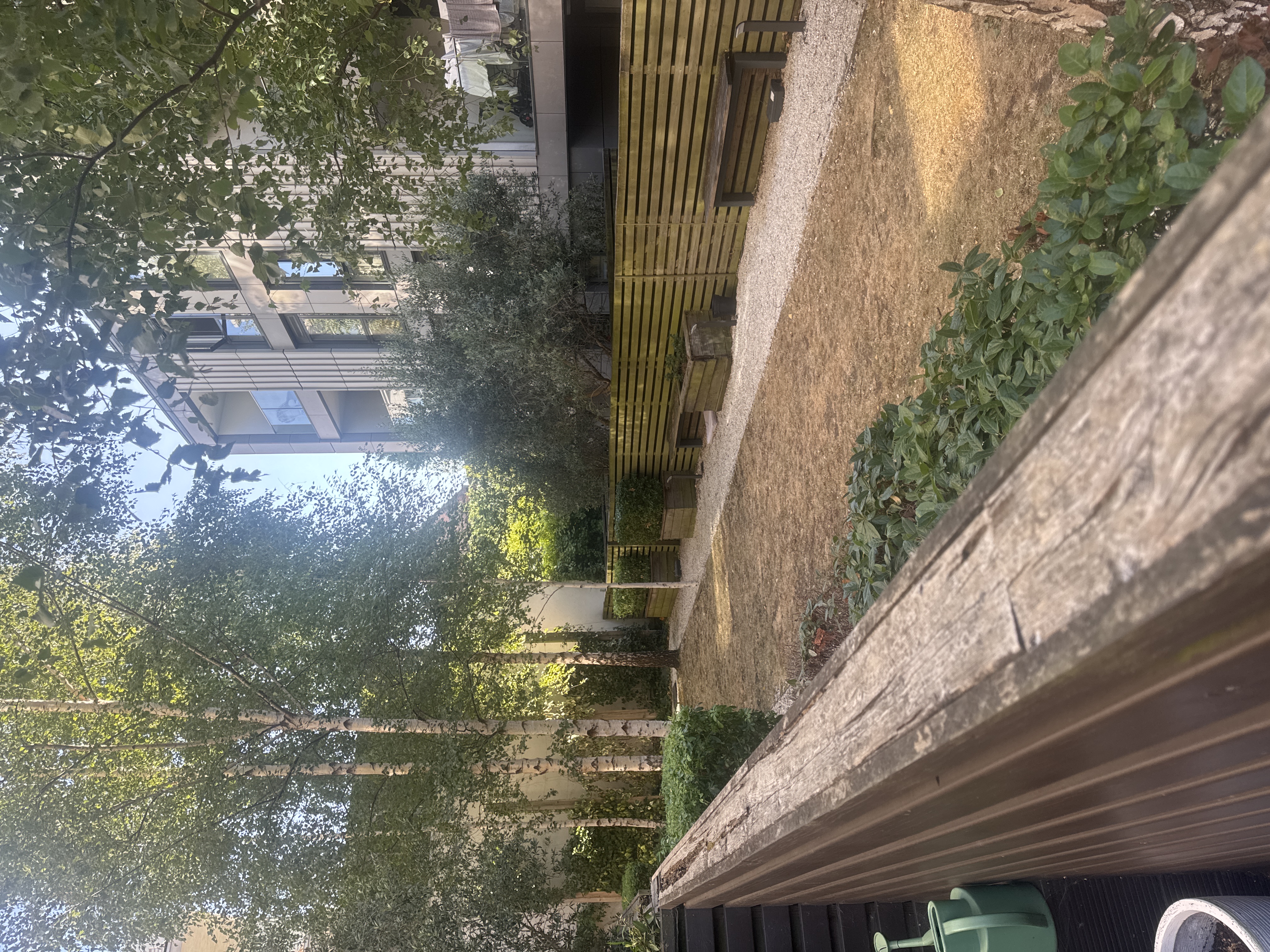image-14