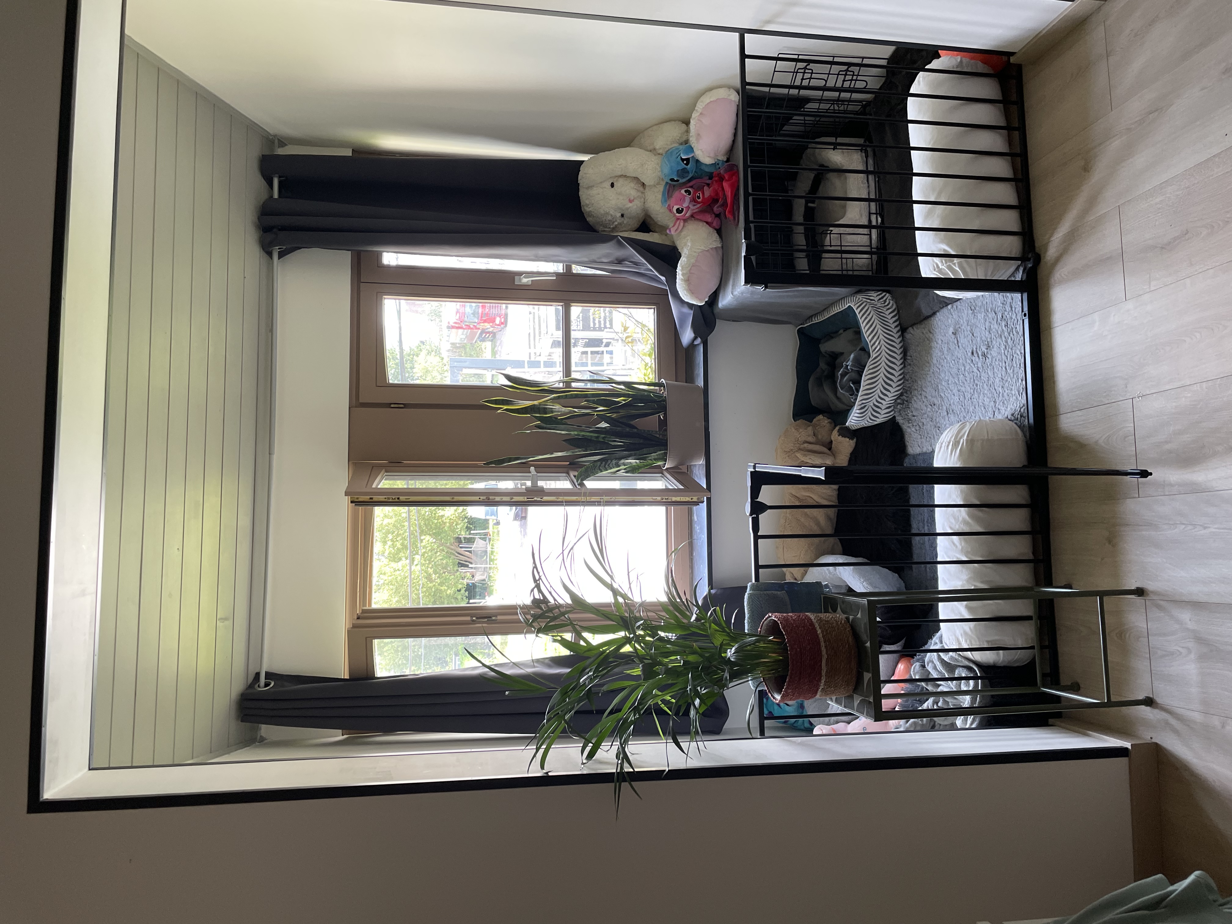 image-19