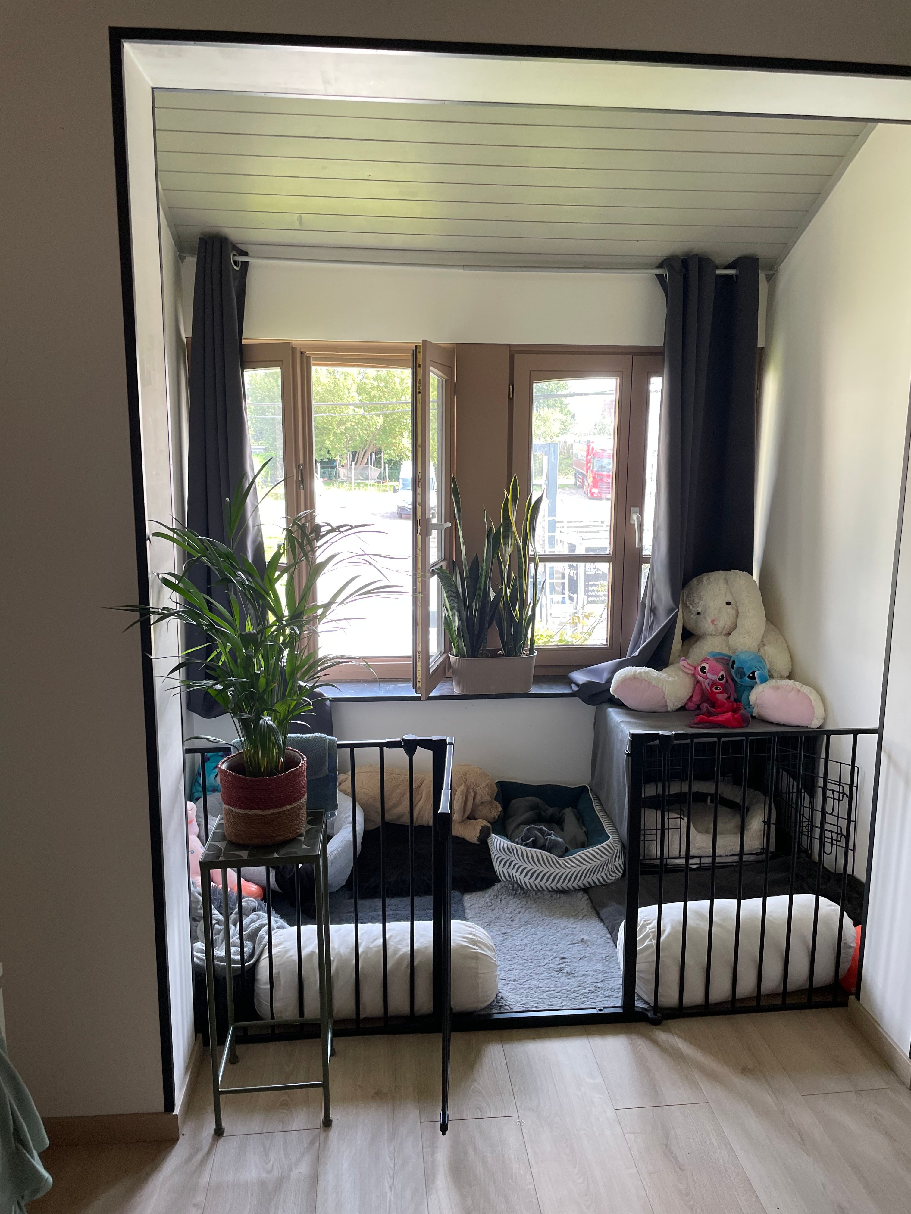 image-19
