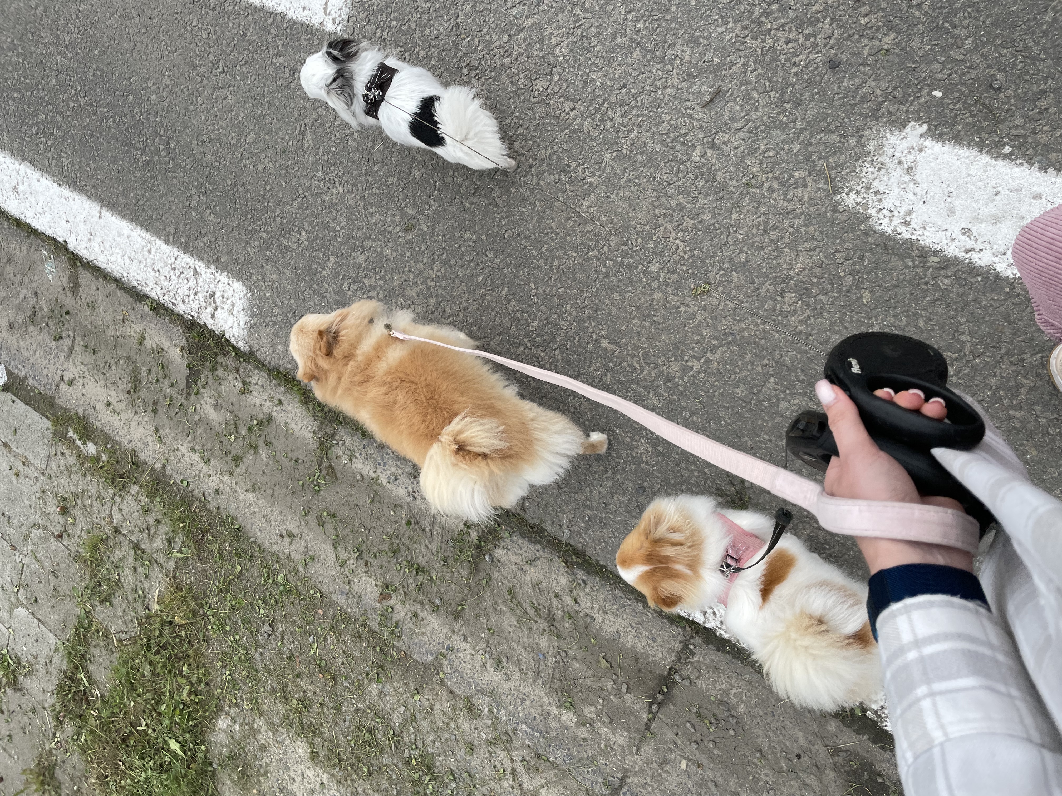 image-17