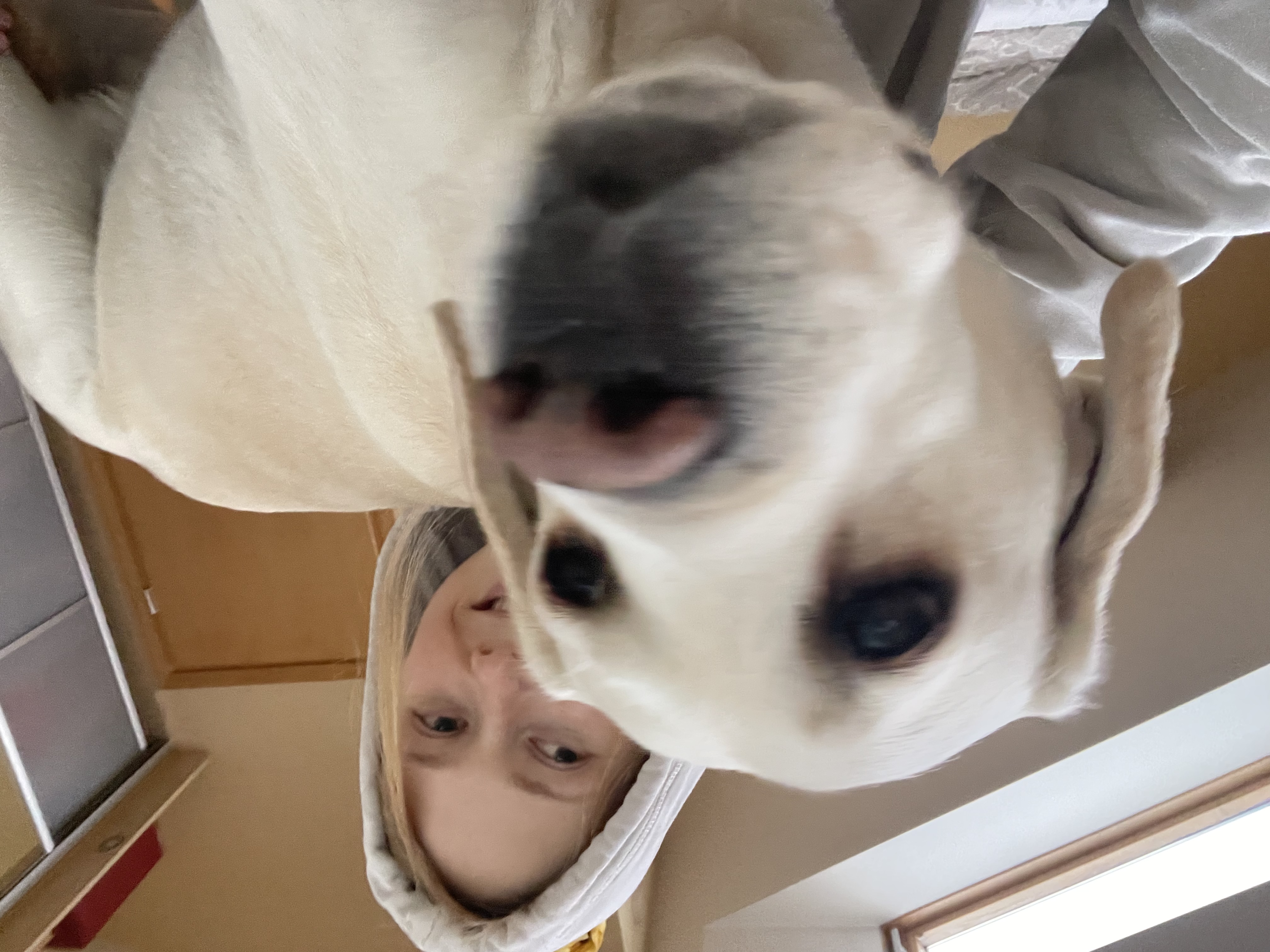 image-5