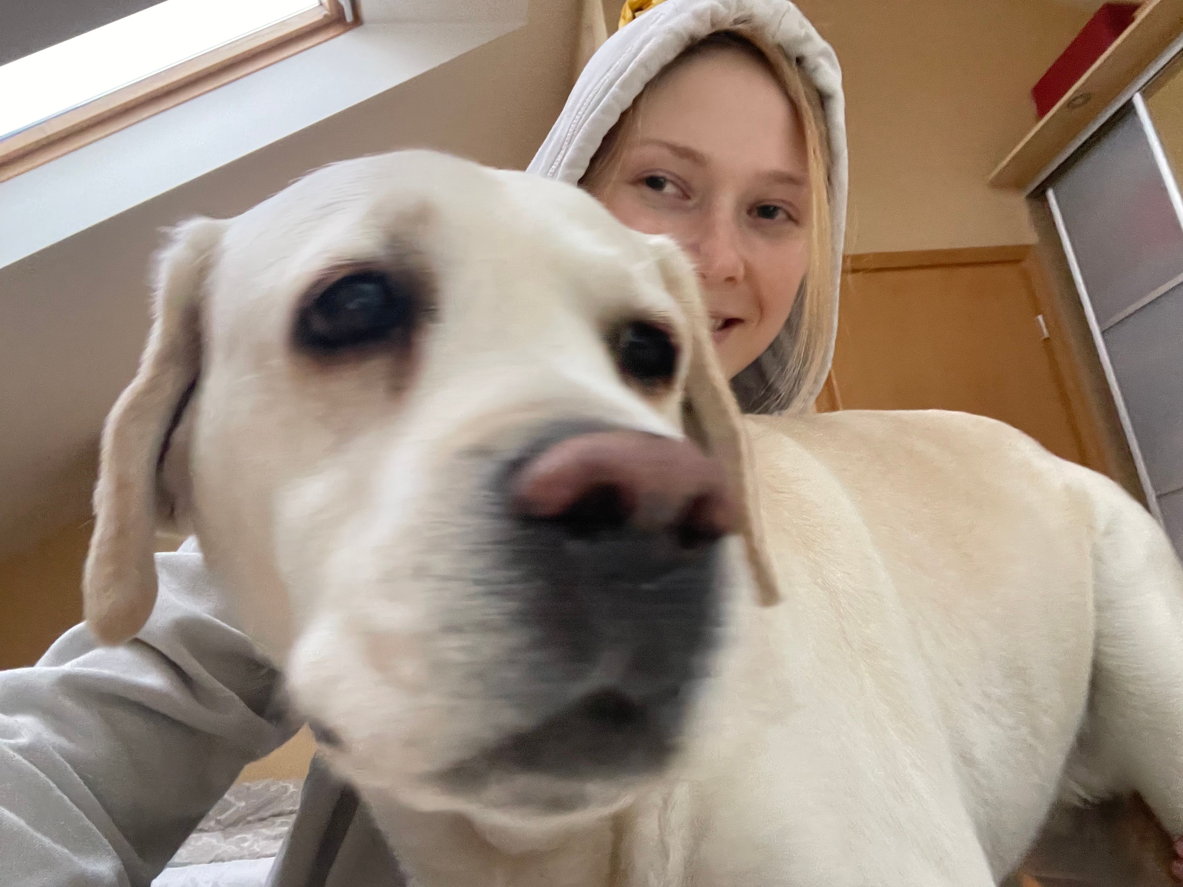 image-5