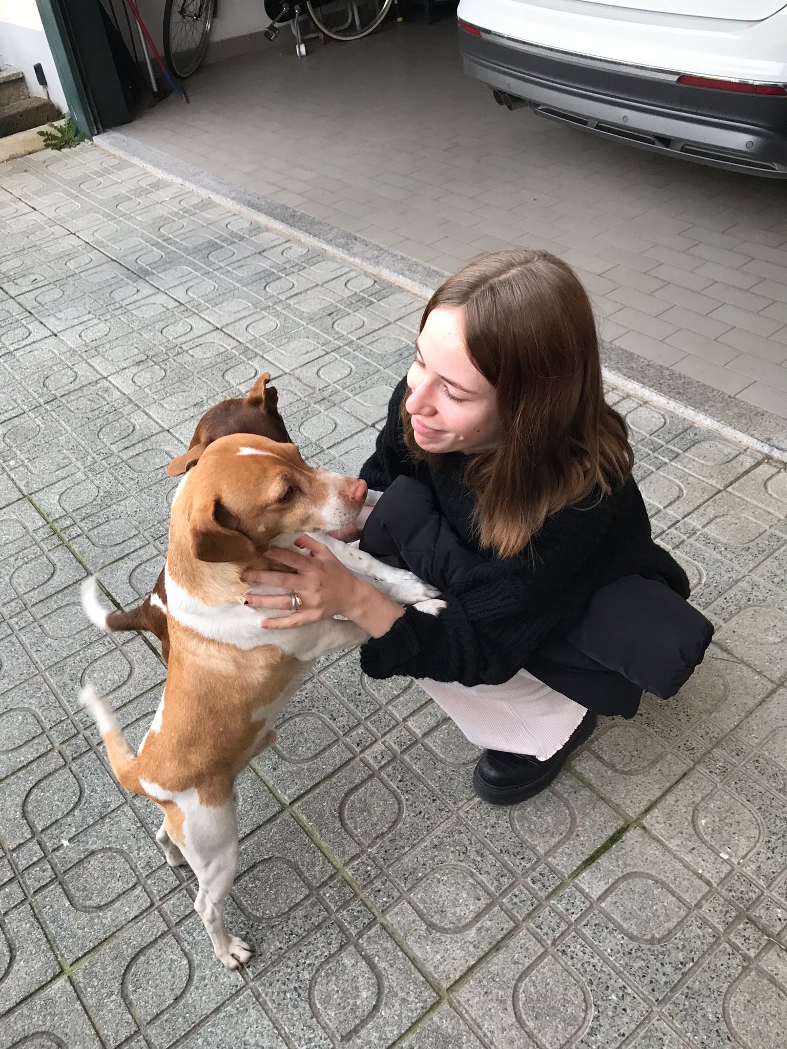 image-7